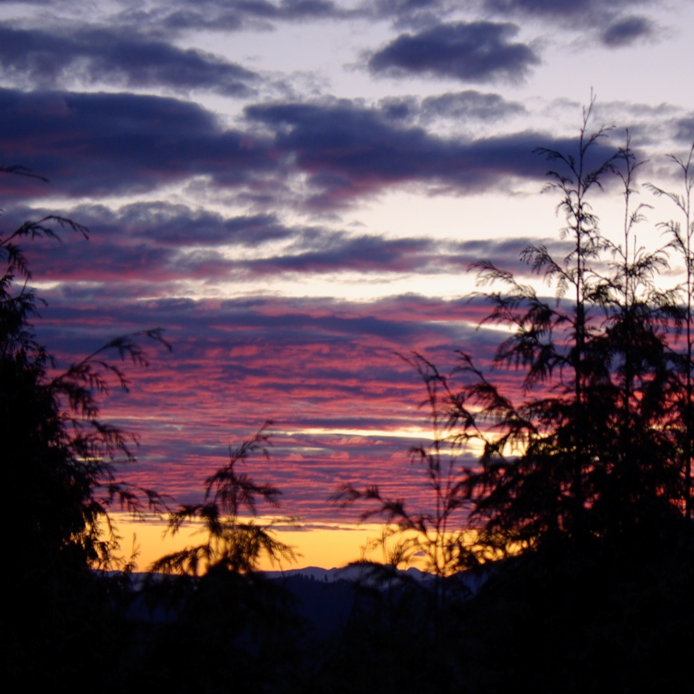 Bedtime Stories Episode Fifty-one -- THE LONGEST NIGHT.