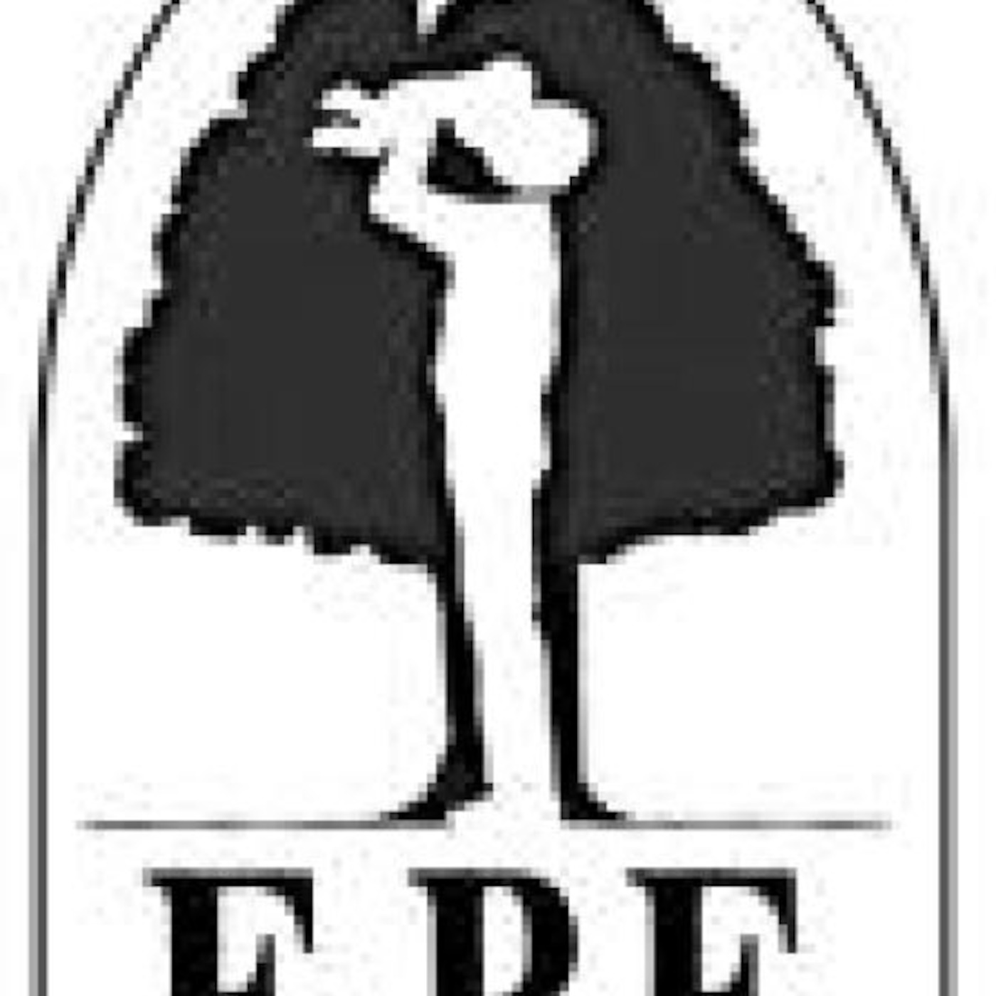 EPE MDP's Podcast podcast artwork