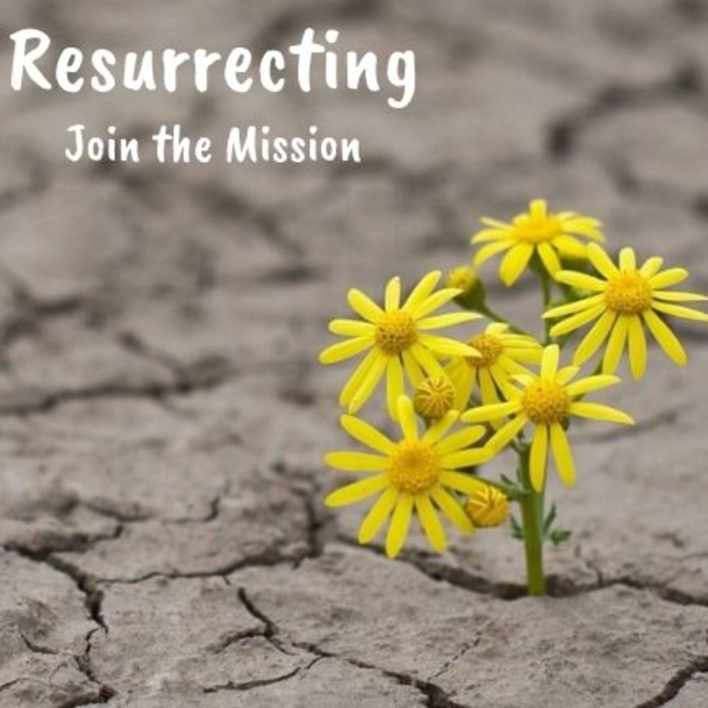 Resurrecting: Join the Mission episode artwork