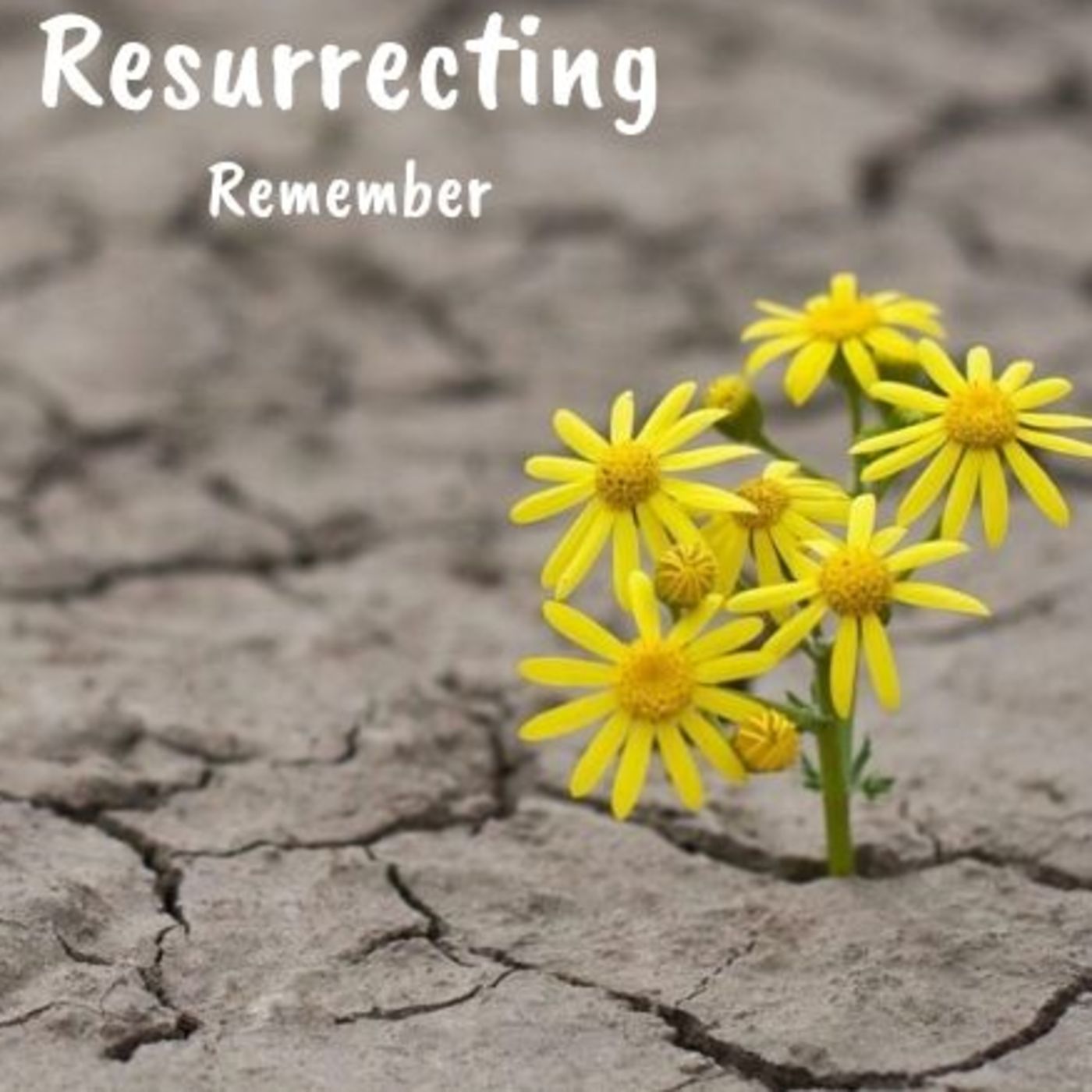 Resurrecting: Remember episode artwork
