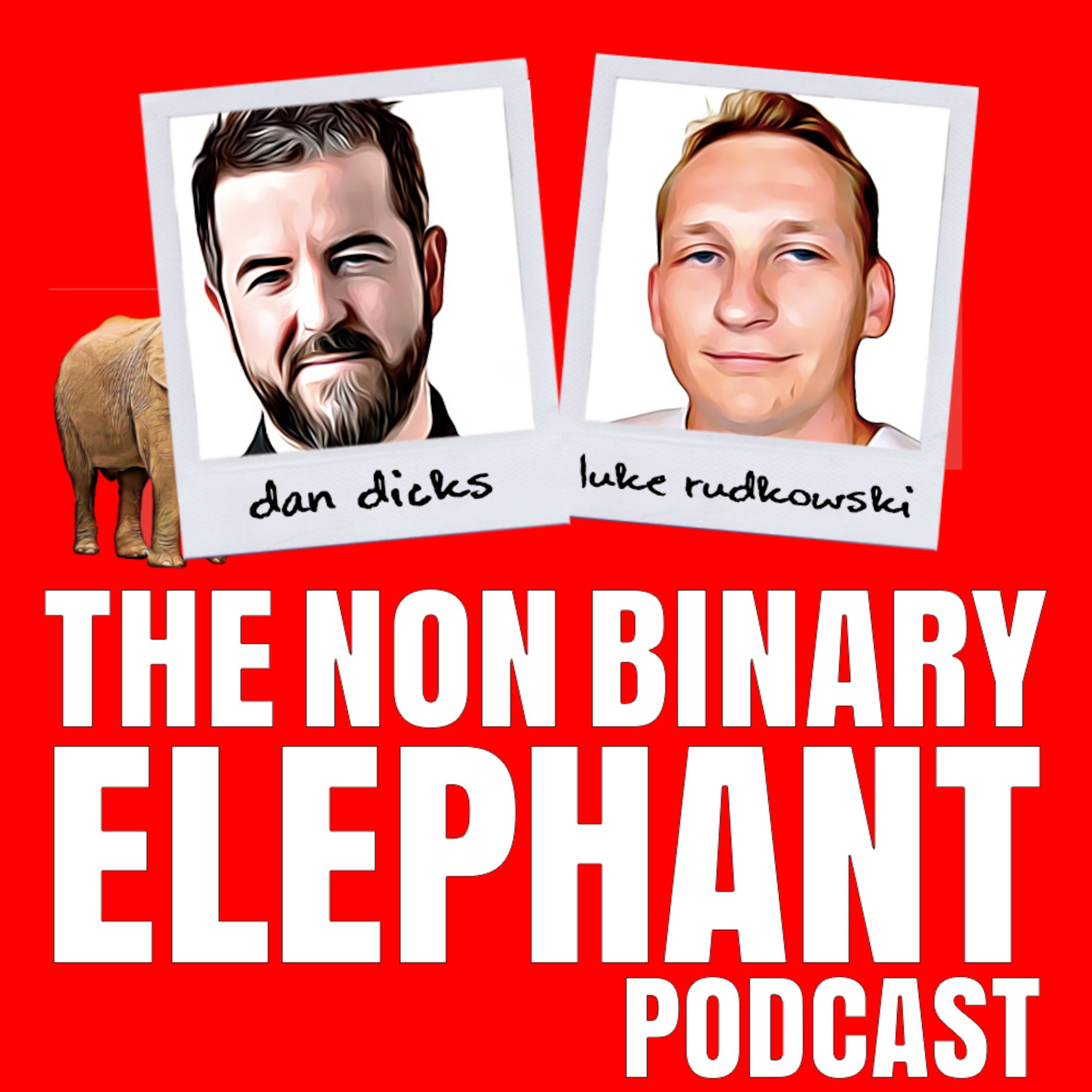 The Non-Binary Elephant Podcast