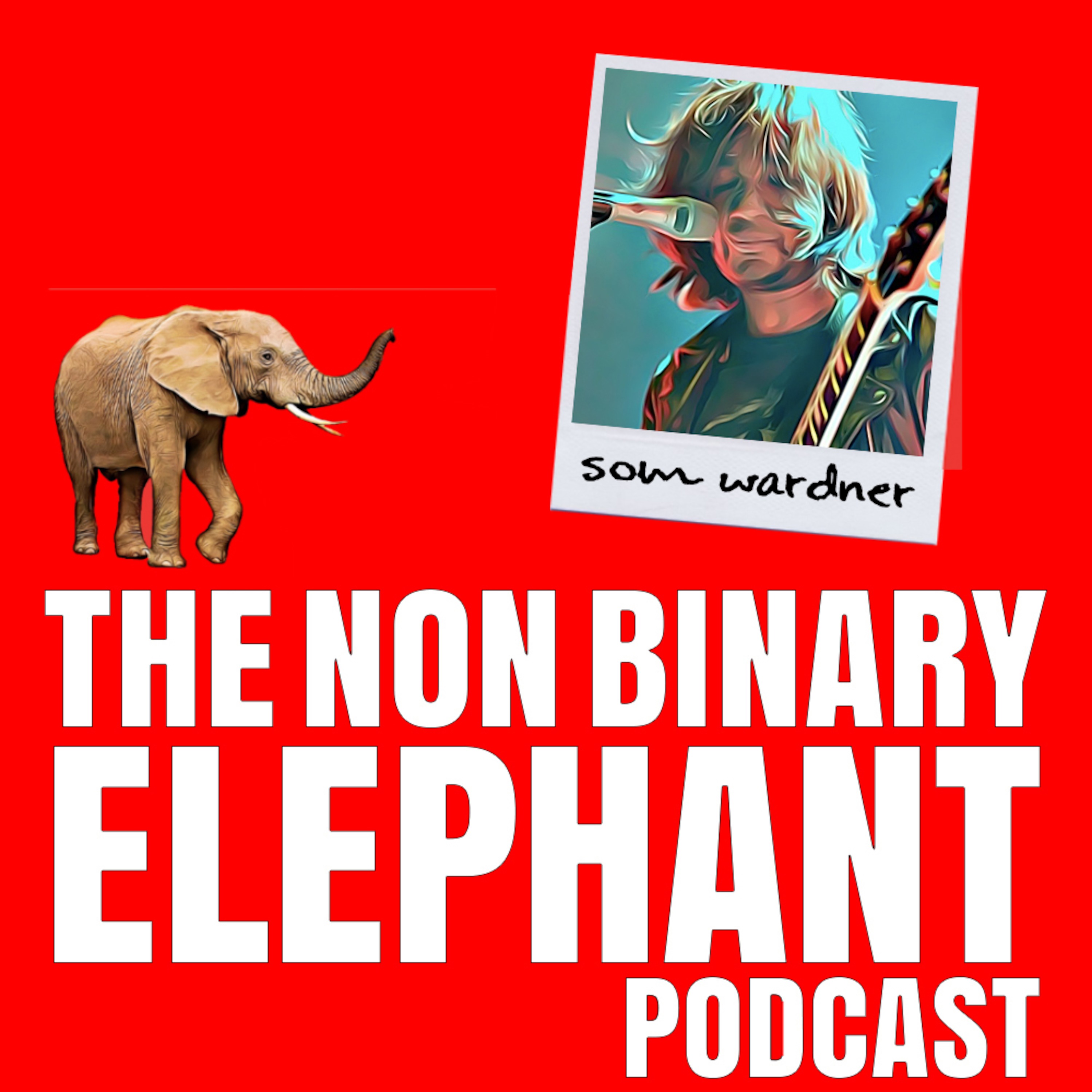 The Non-Binary Elephant Podcast