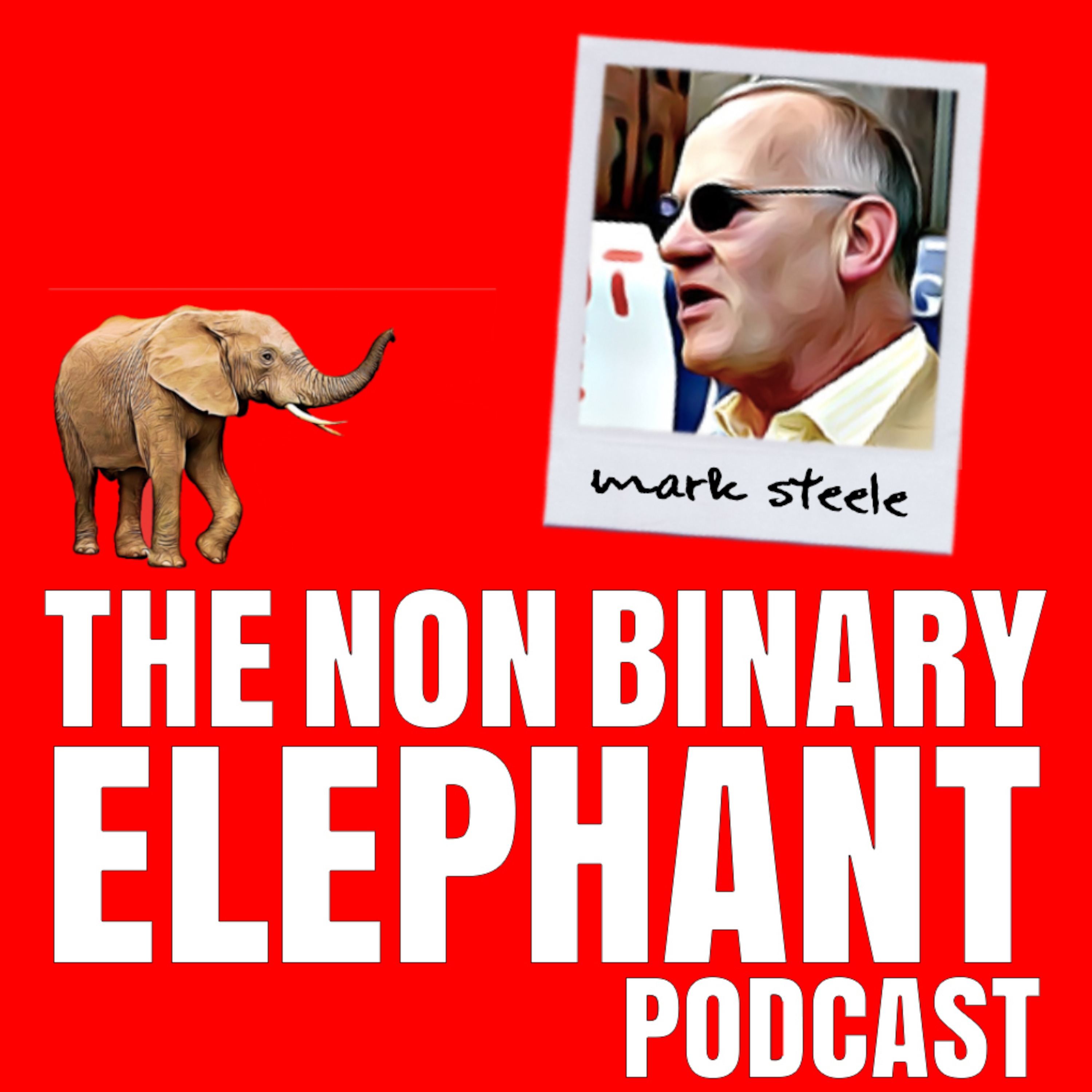 The Non-Binary Elephant Podcast