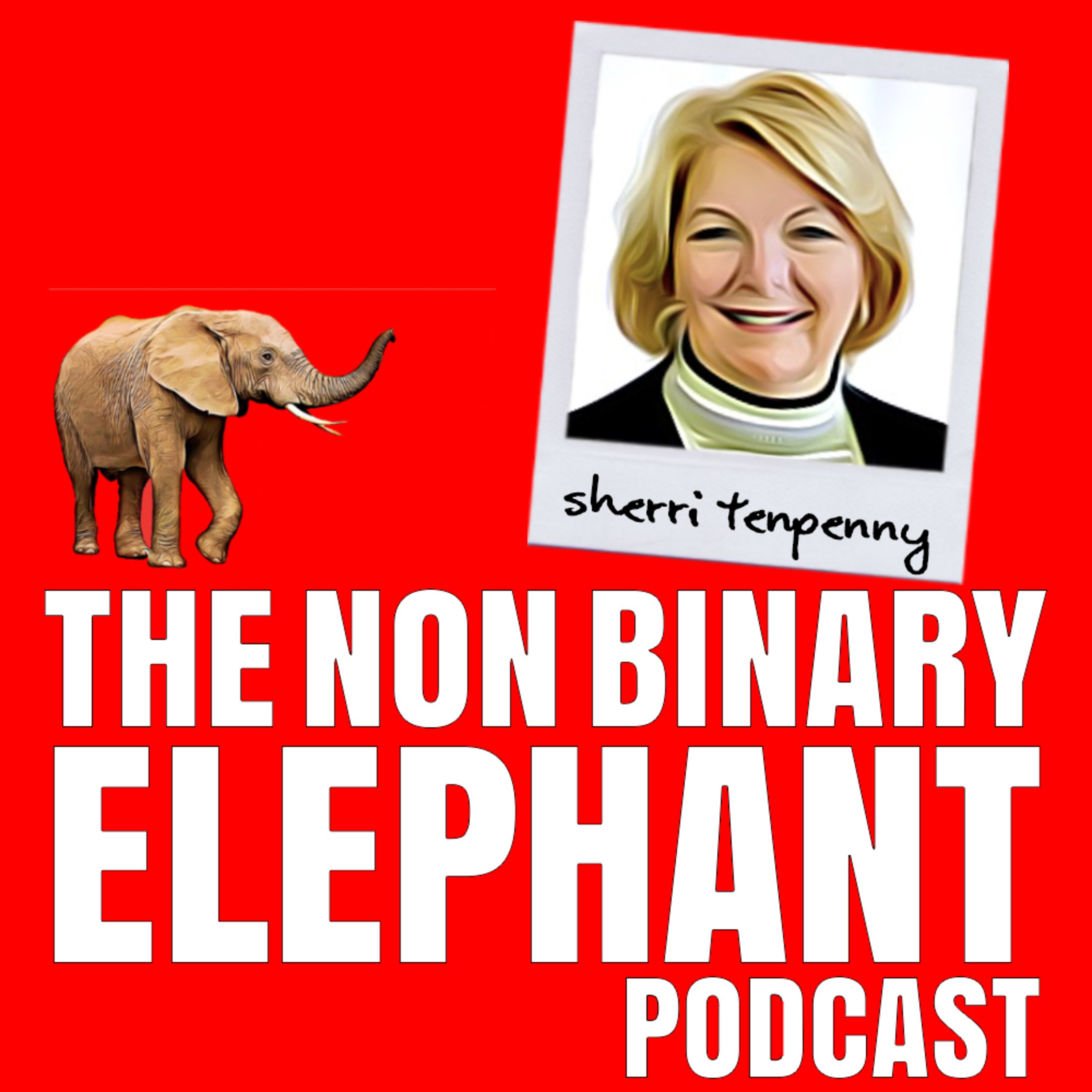 The Non-Binary Elephant Podcast