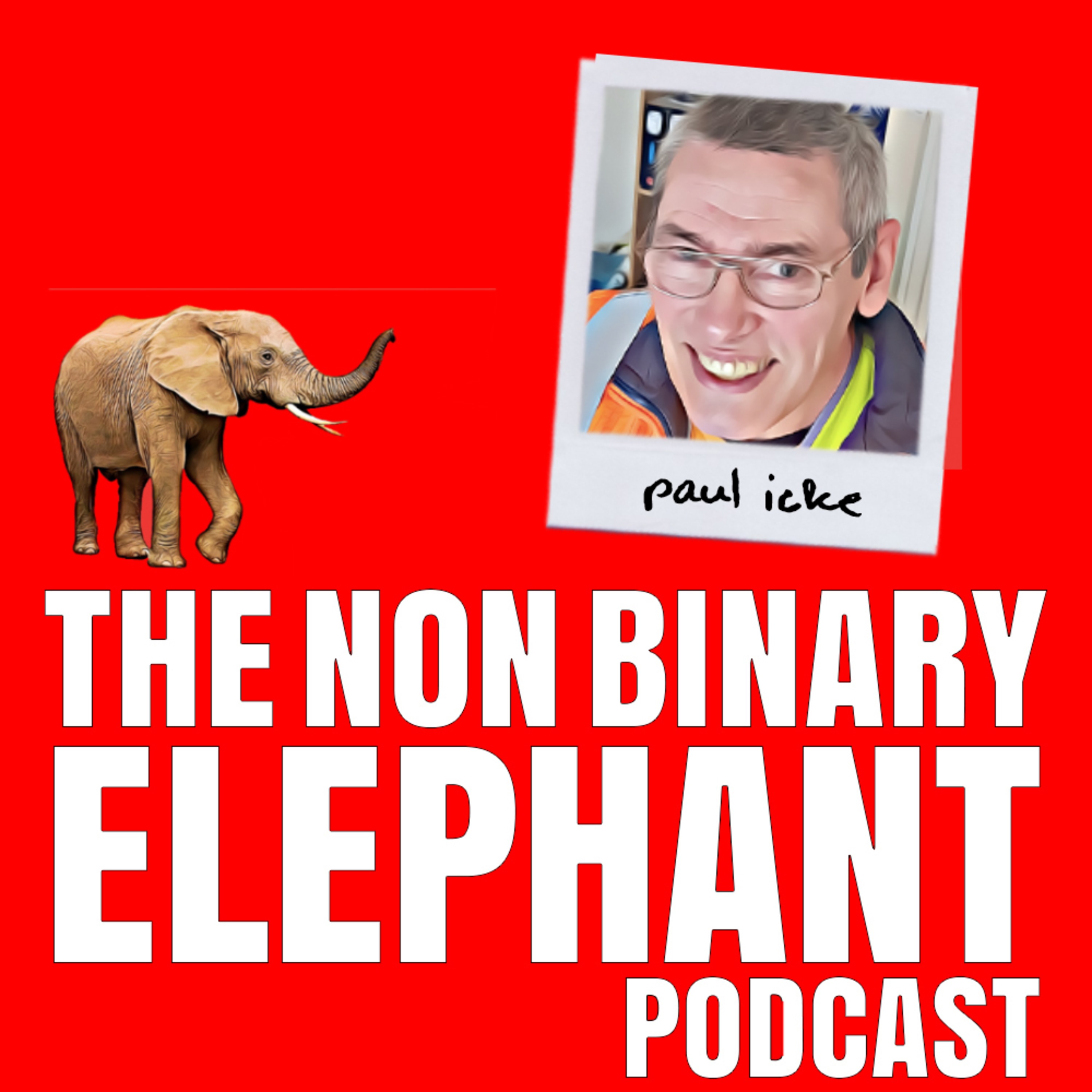 The Non-Binary Elephant Podcast