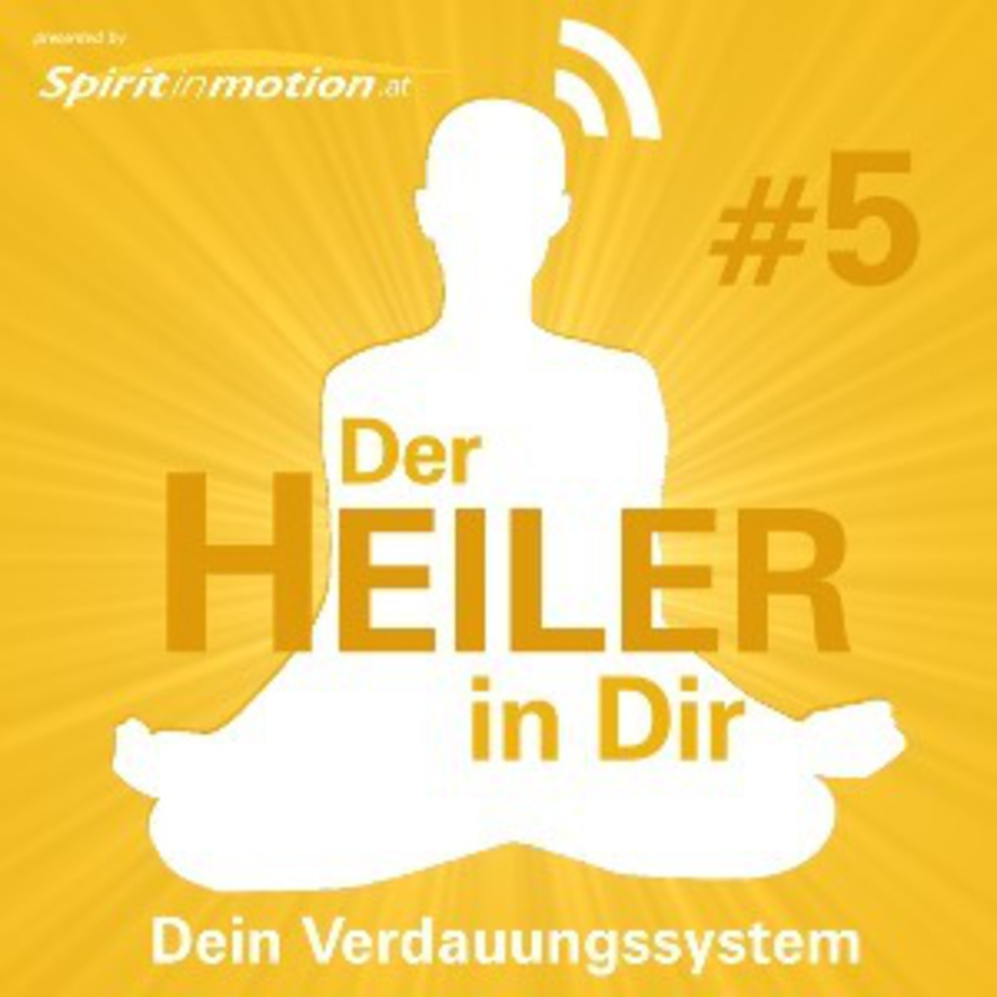 Der Heiler in dir - Dein Verdauungsystem