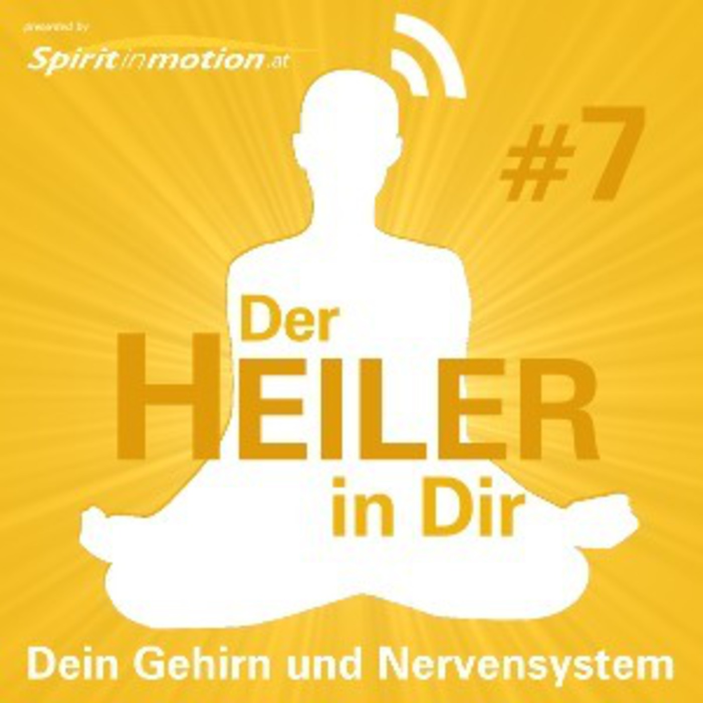 Der Heiler in dir - Dein Gehirn und Nervensystem