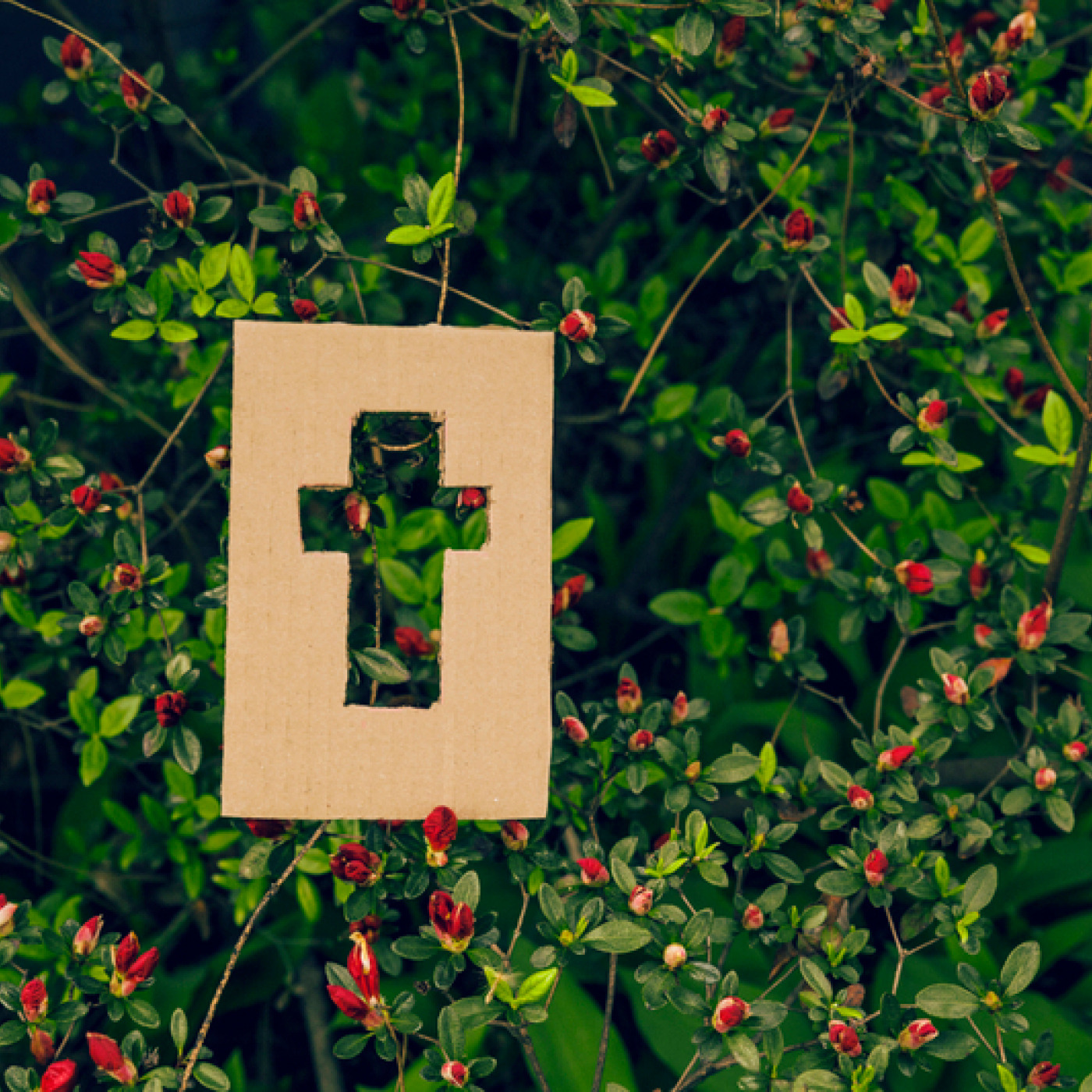 HVBC Church Podcast
