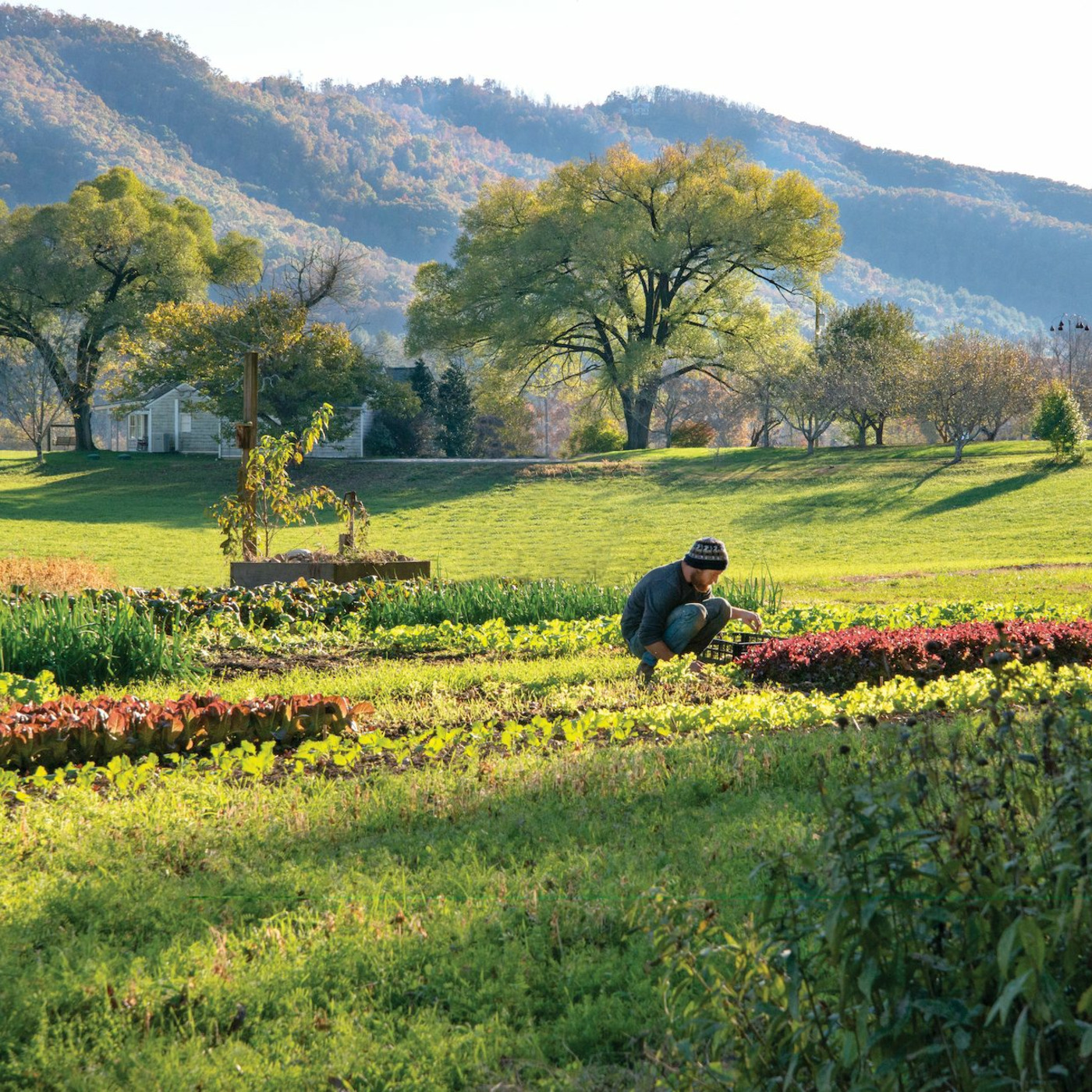 Episode 20: 100 Years of John C Campbell Folk School, part one