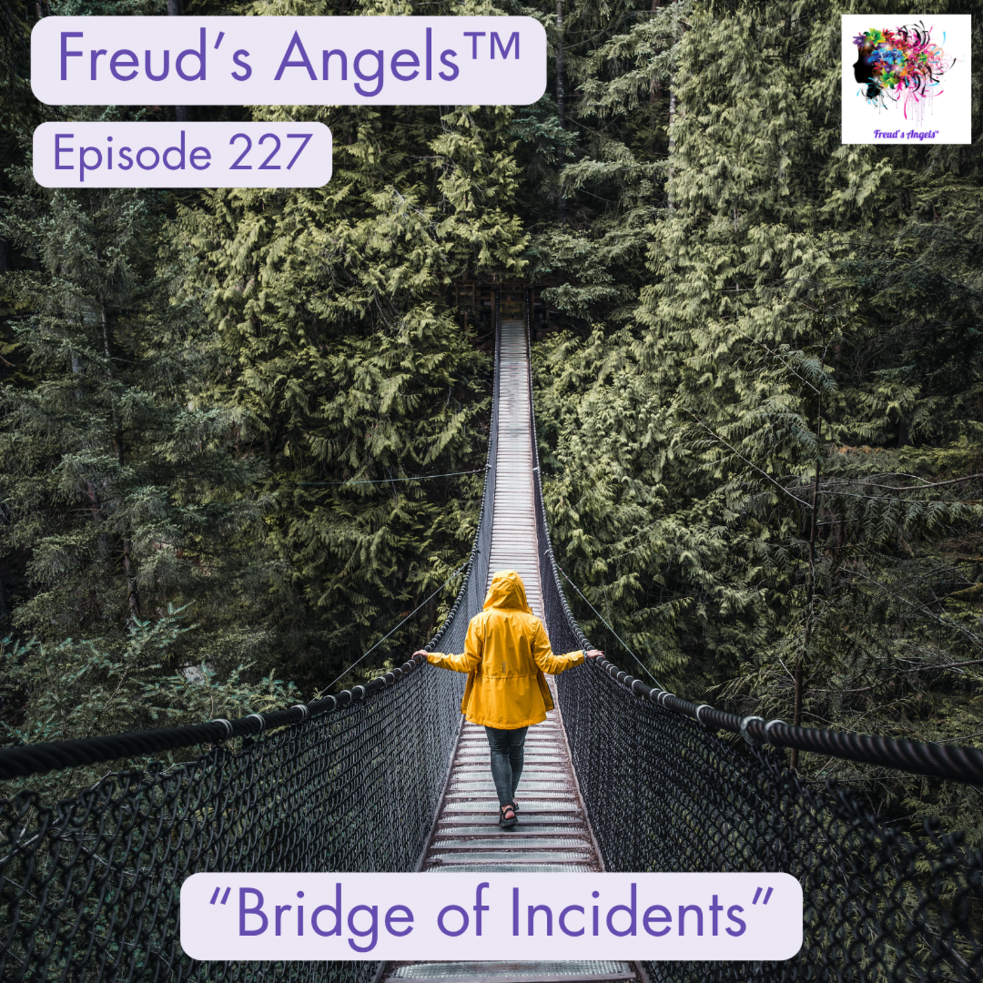 Episode 227: "Bridge of Incidents" episode artwork