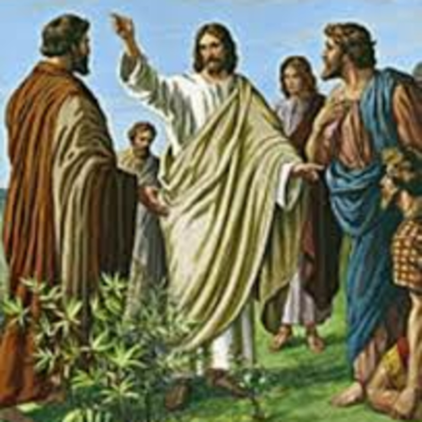 Evangelho do dia