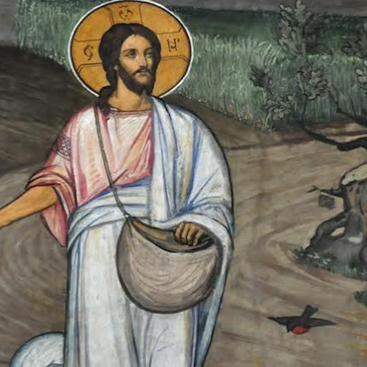 Episode 1750: 12/07 - Evangelho de hoje (Mt 13,1-23) episode artwork