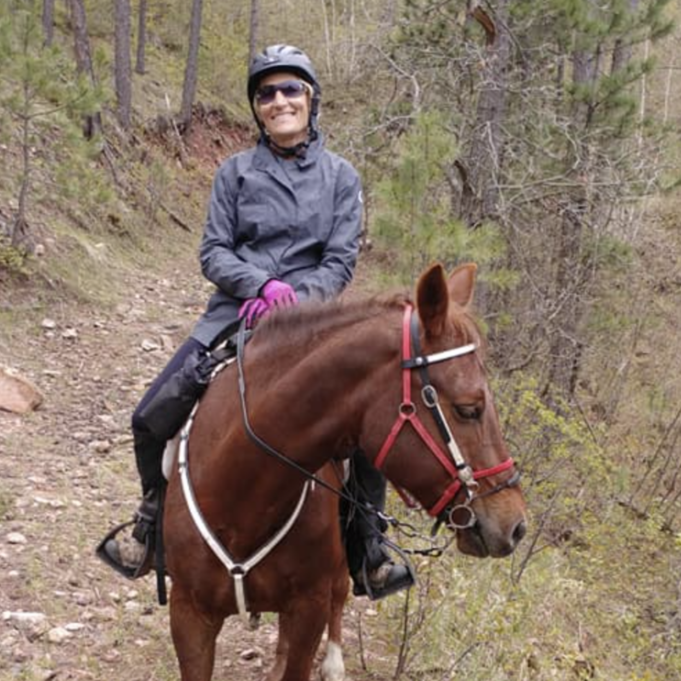 Episode 255: Episode 298 Michele Seaman