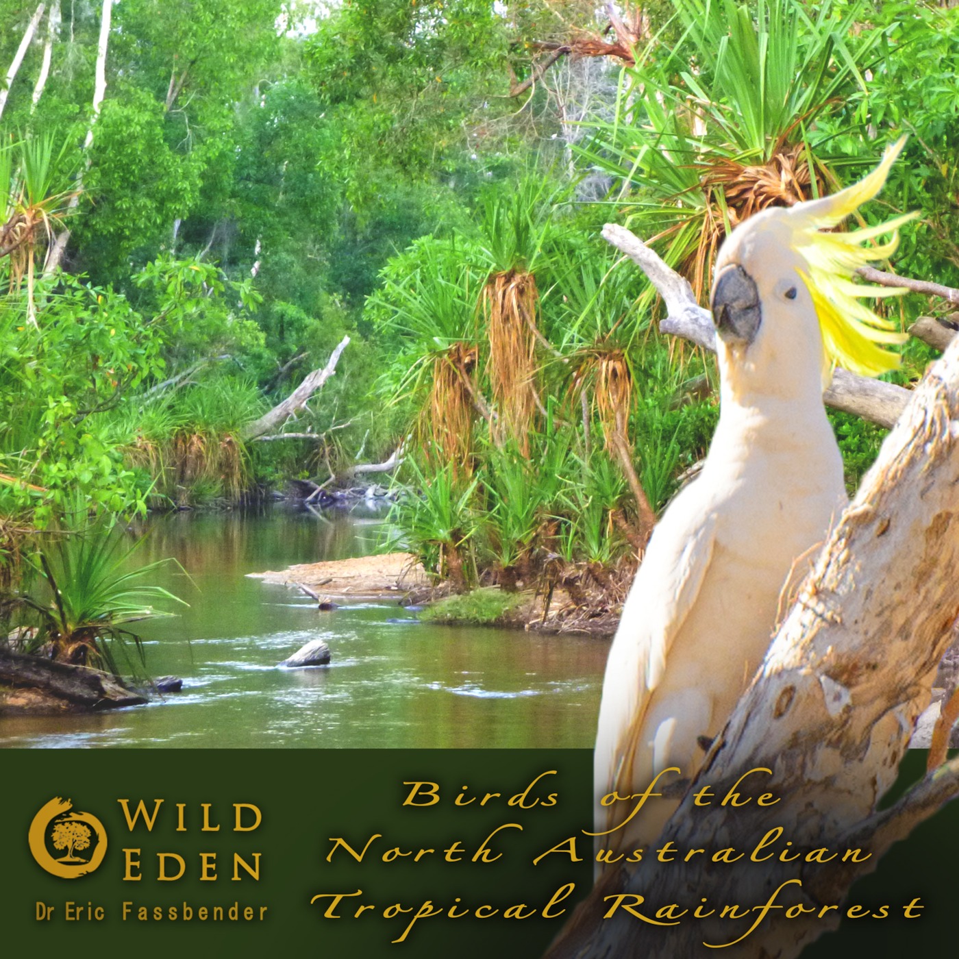 Episode 4 - Birds And Crickets - Track 4 - Album - Birds of the North Australian Tropical Rainforest