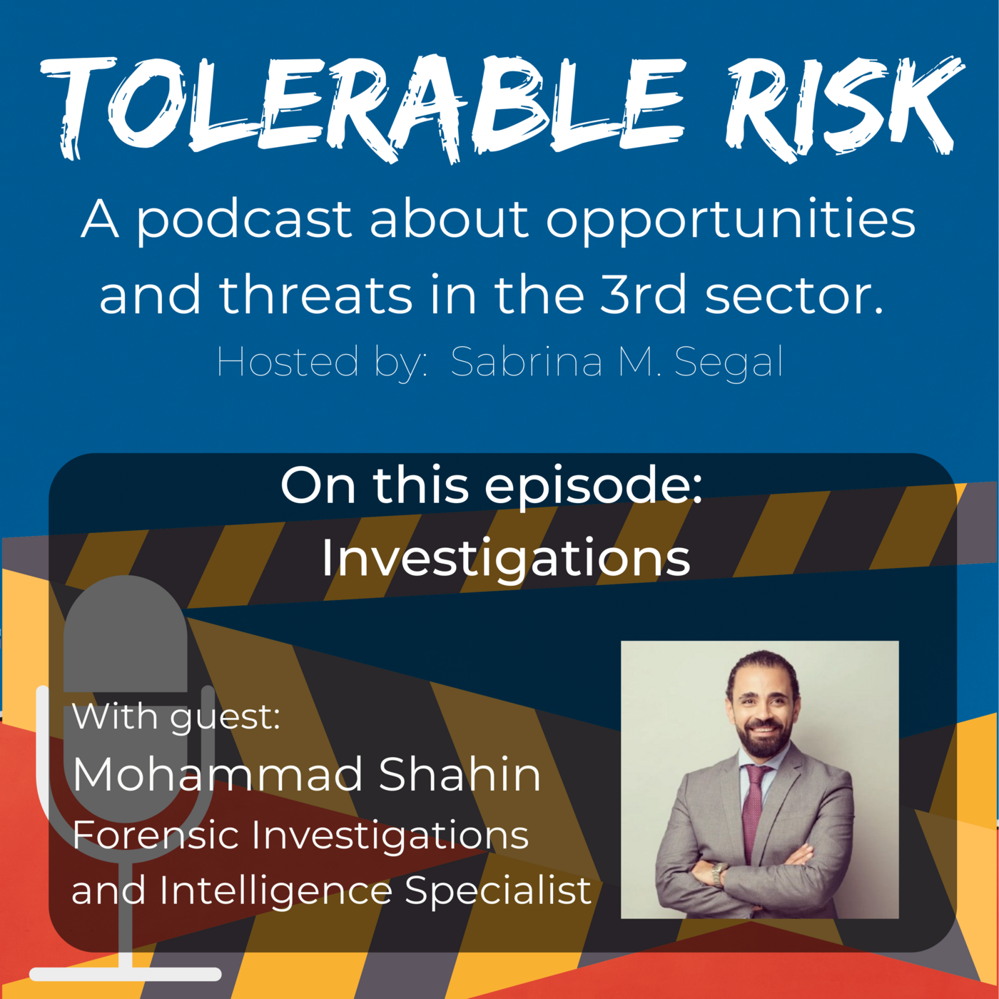 Tolerable Risk: Threats and Opportunities in the 3rd Sector