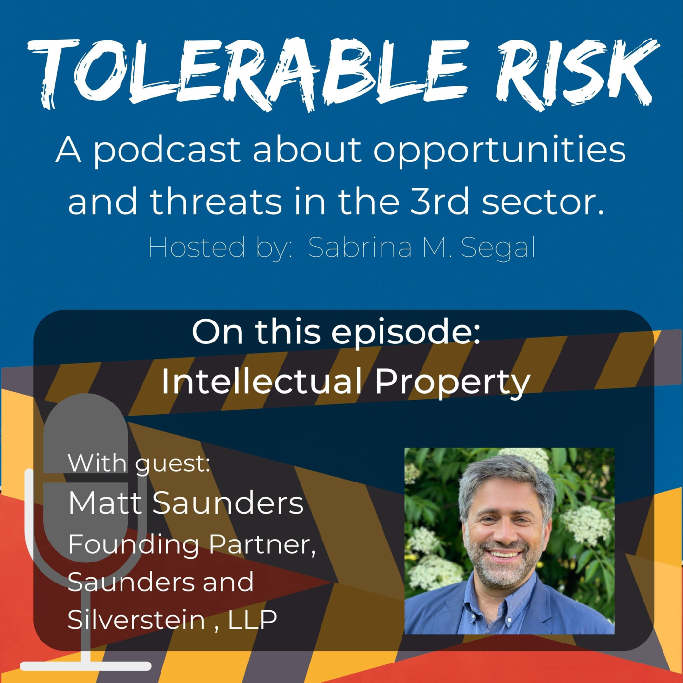 Tolerable Risk: Threats and Opportunities in the 3rd Sector