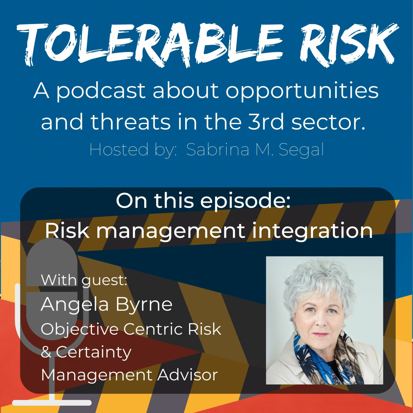 Tolerable Risk: Threats and Opportunities in the 3rd Sector