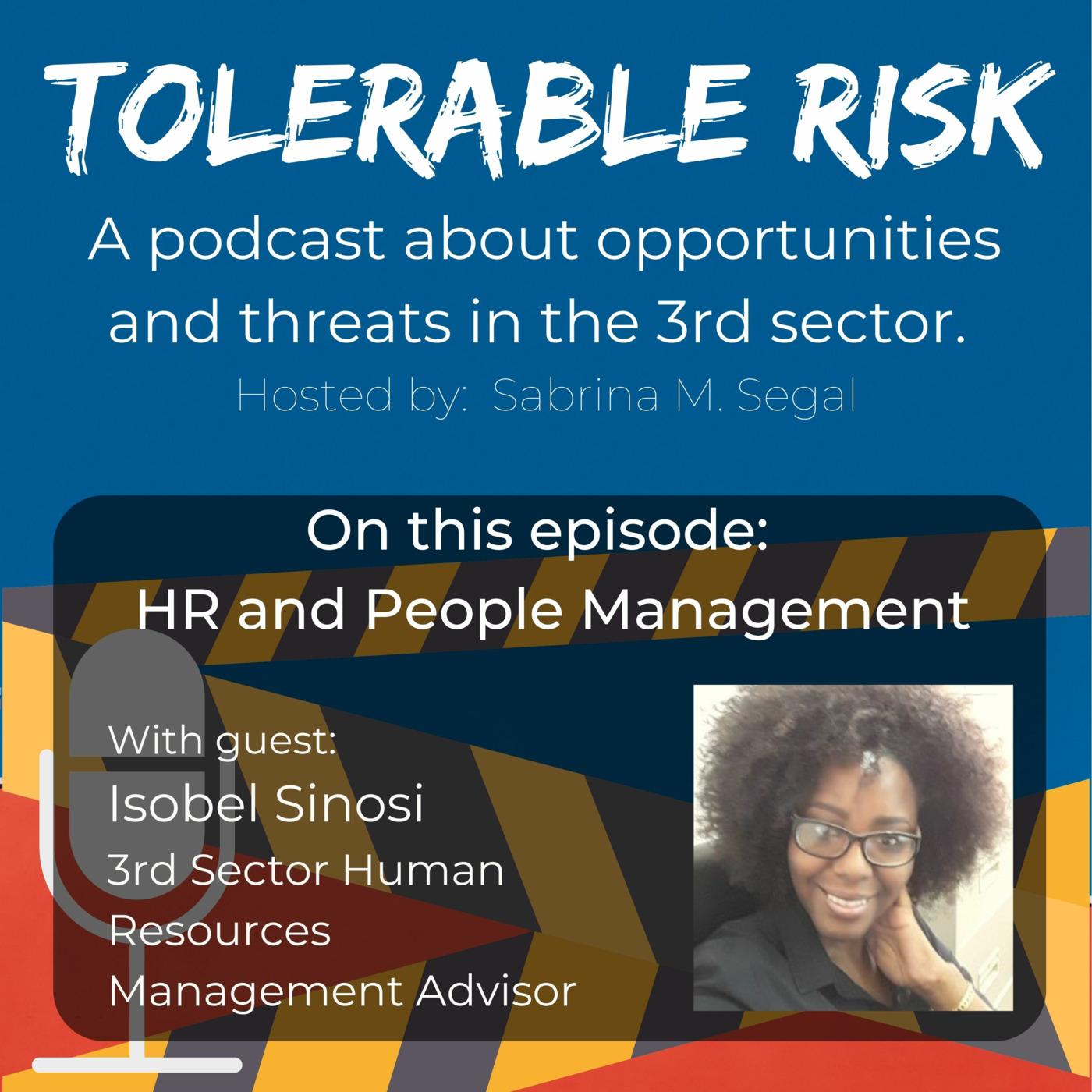 Tolerable Risk: Threats and Opportunities in the 3rd Sector