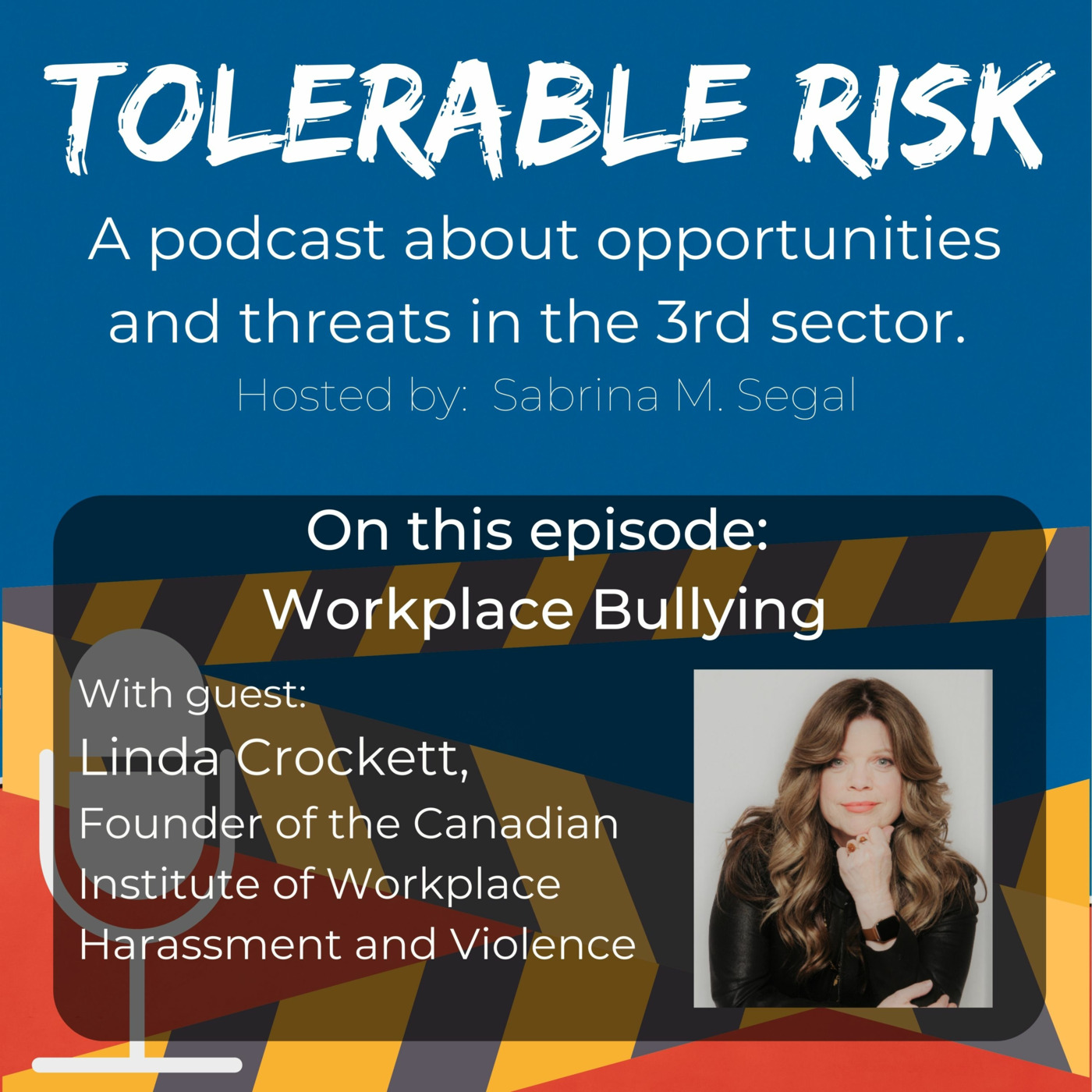 Tolerable Risk: Threats and Opportunities in the 3rd Sector
