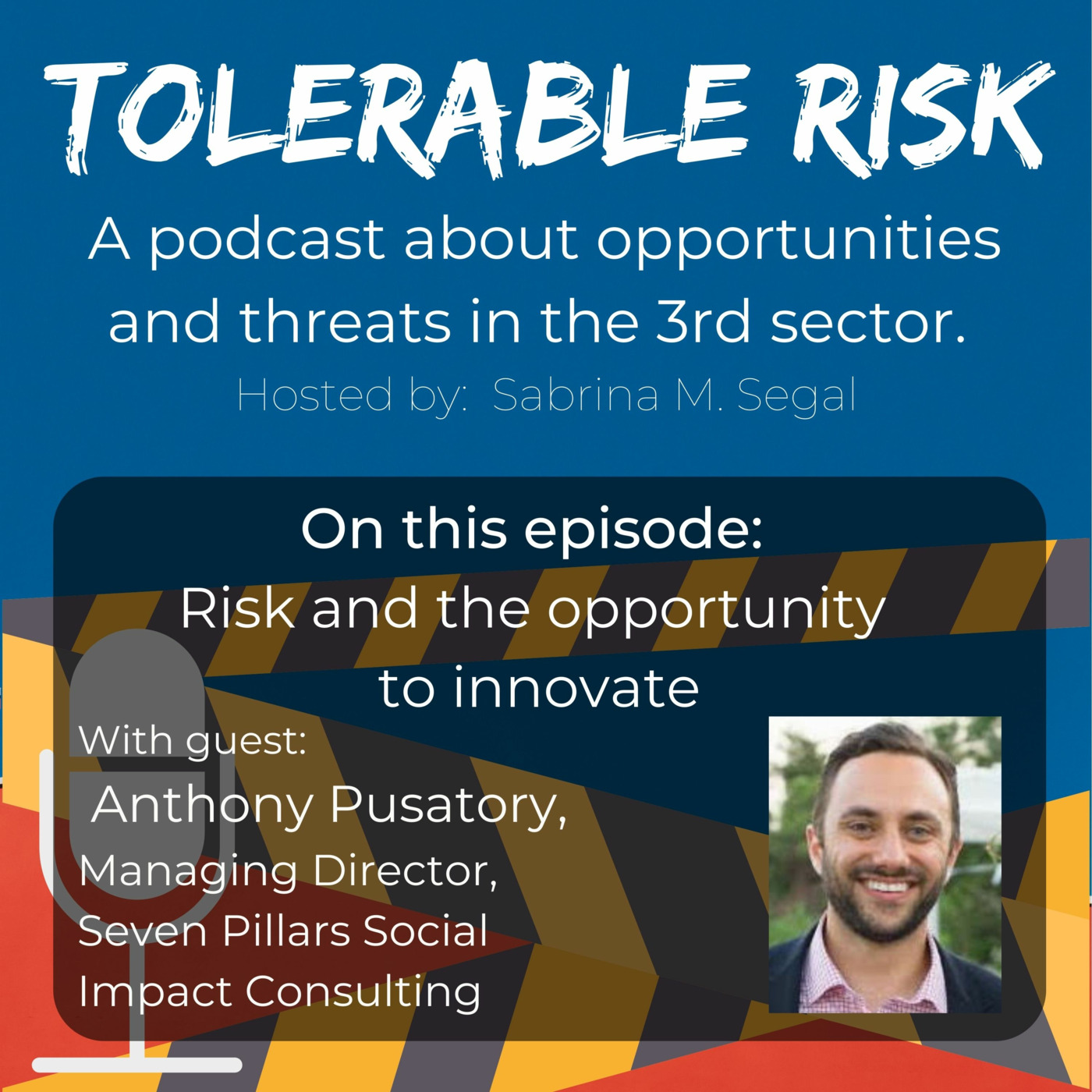 Tolerable Risk: Threats and Opportunities in the 3rd Sector