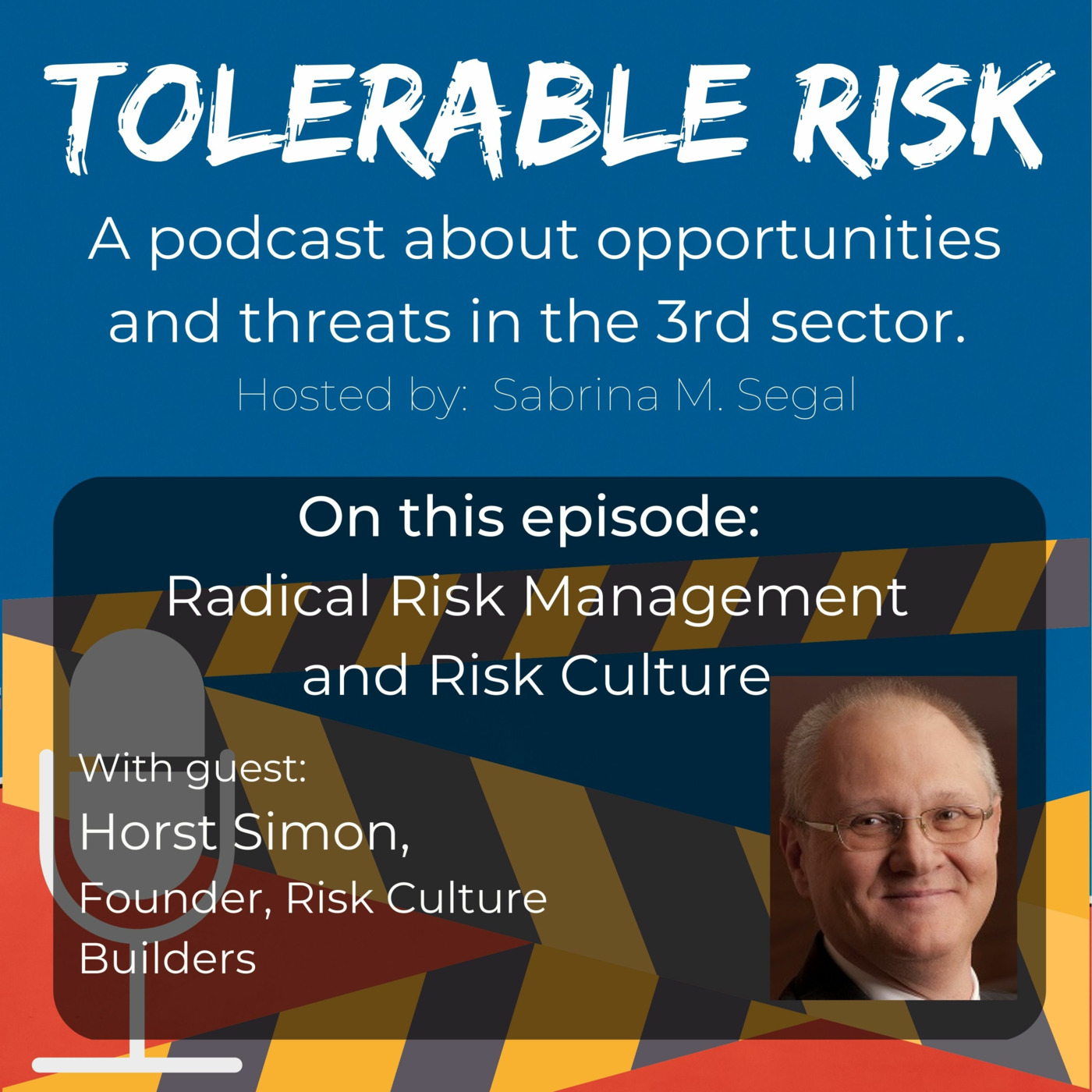 Tolerable Risk: Threats and Opportunities in the 3rd Sector