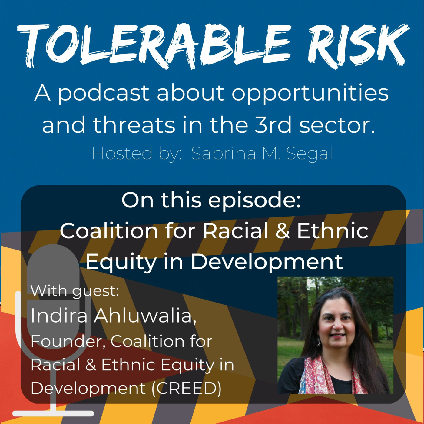 Tolerable Risk: Threats and Opportunities in the 3rd Sector