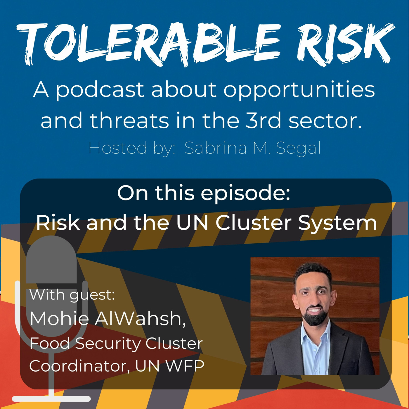 Tolerable Risk: Threats and Opportunities in the 3rd Sector