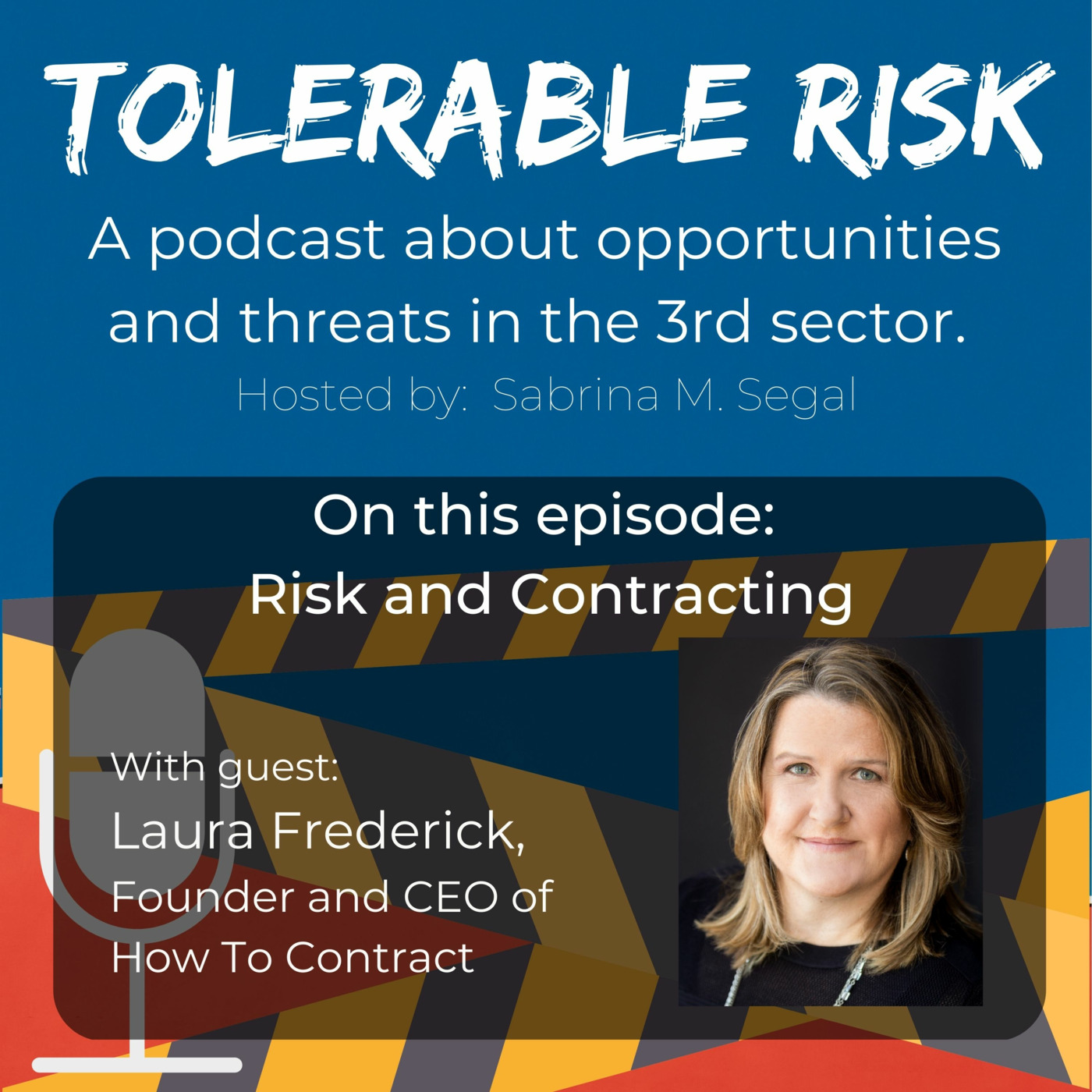 Tolerable Risk: Threats and Opportunities in the 3rd Sector