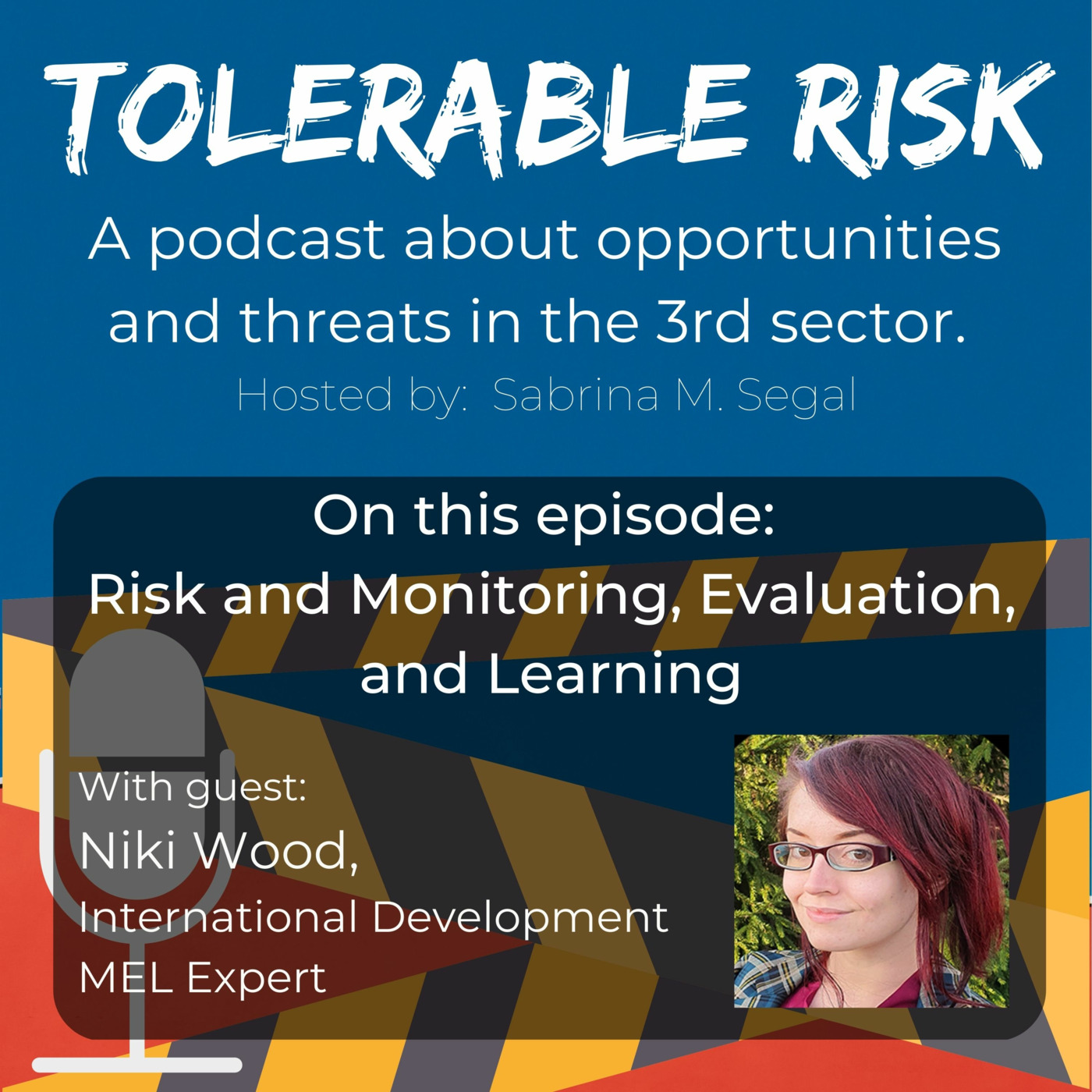 Tolerable Risk: Threats and Opportunities in the 3rd Sector