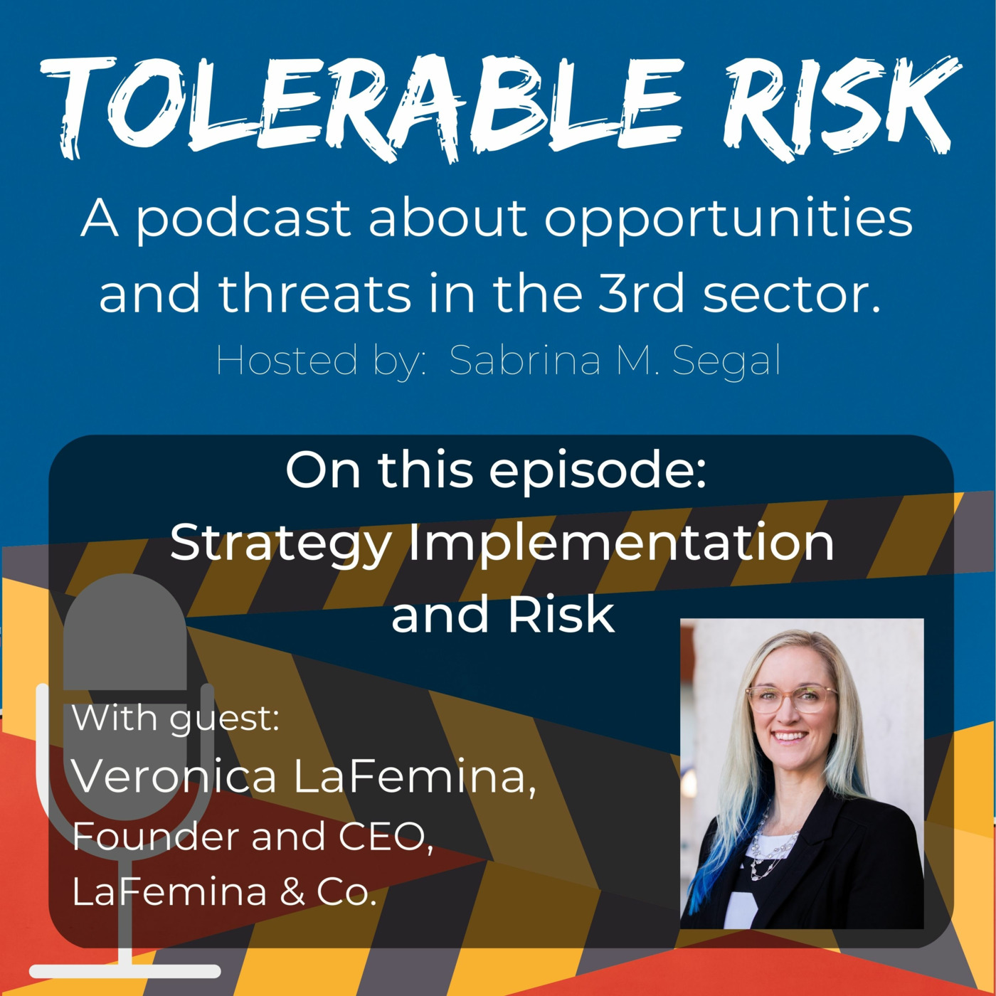 Tolerable Risk: Threats and Opportunities in the 3rd Sector