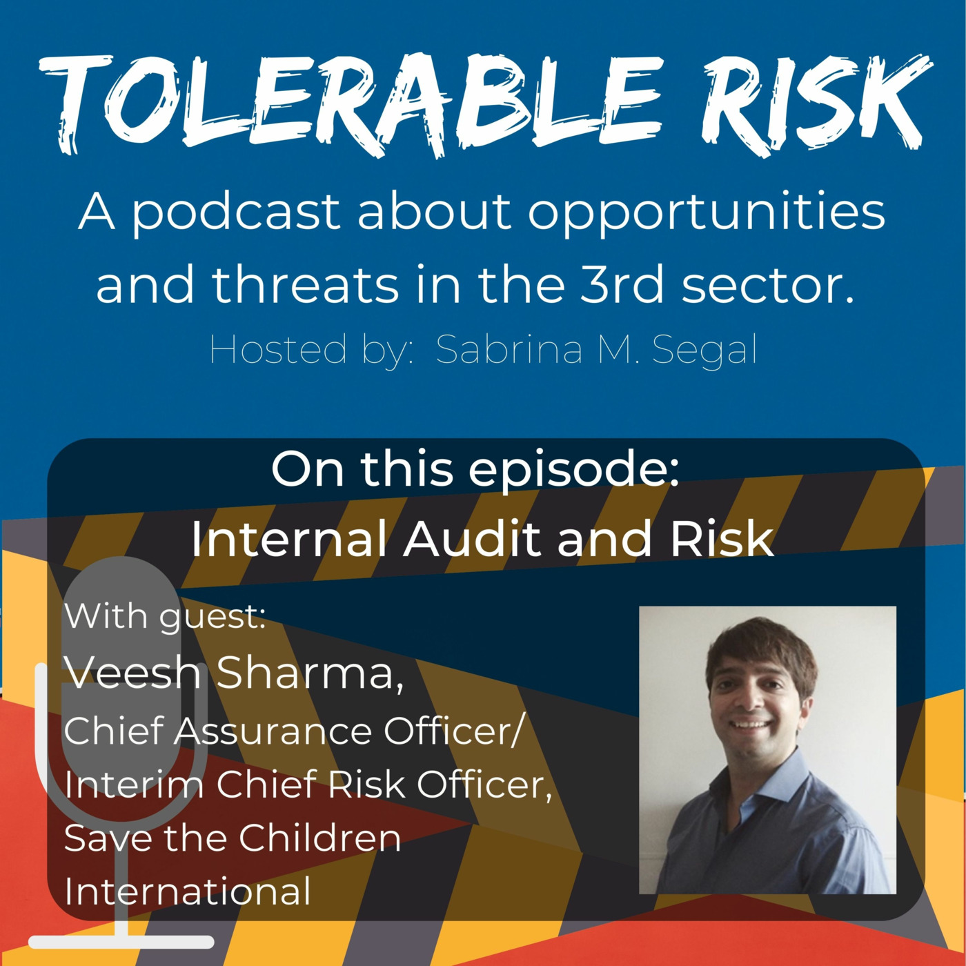Tolerable Risk: Threats and Opportunities in the 3rd Sector