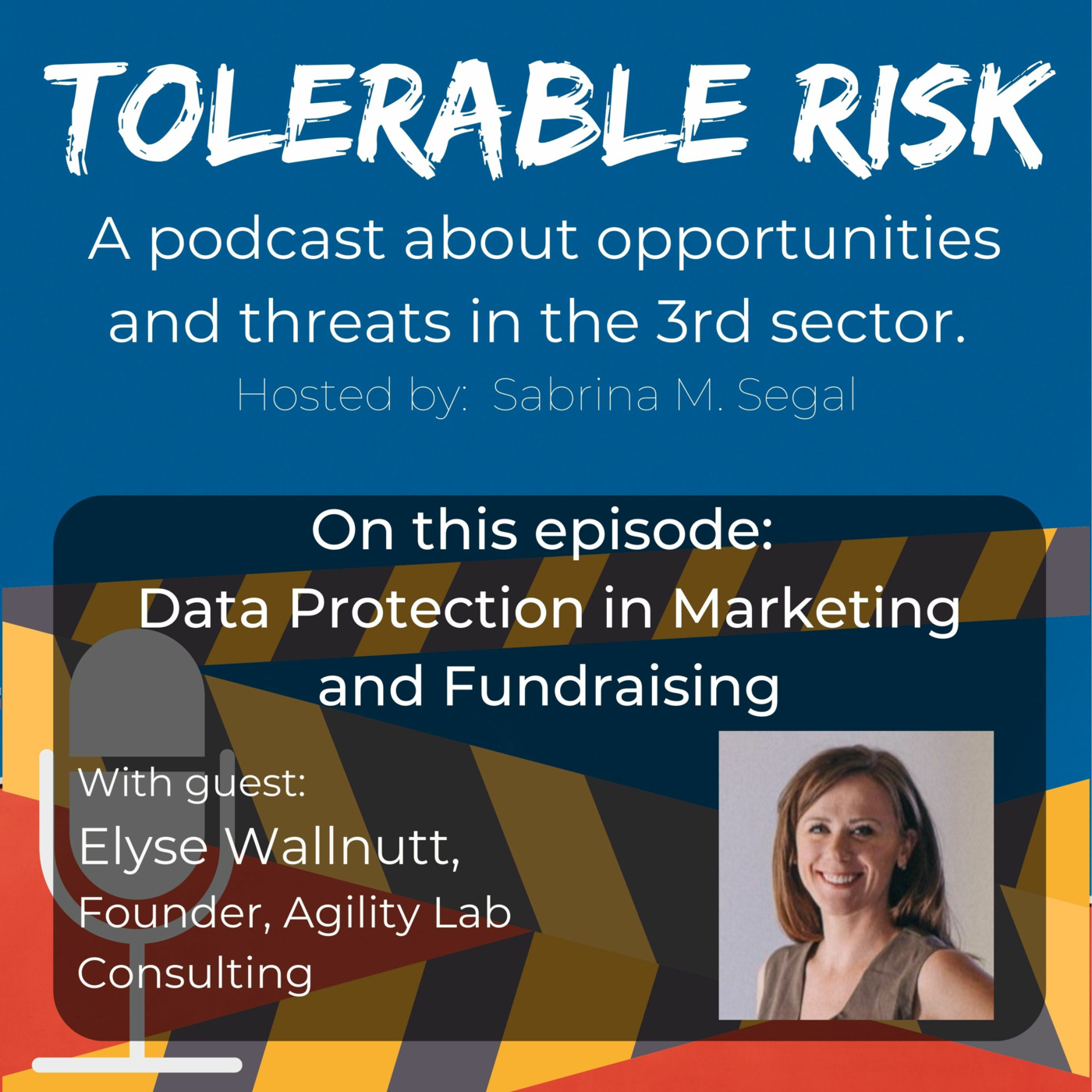 Tolerable Risk: Threats and Opportunities in the 3rd Sector