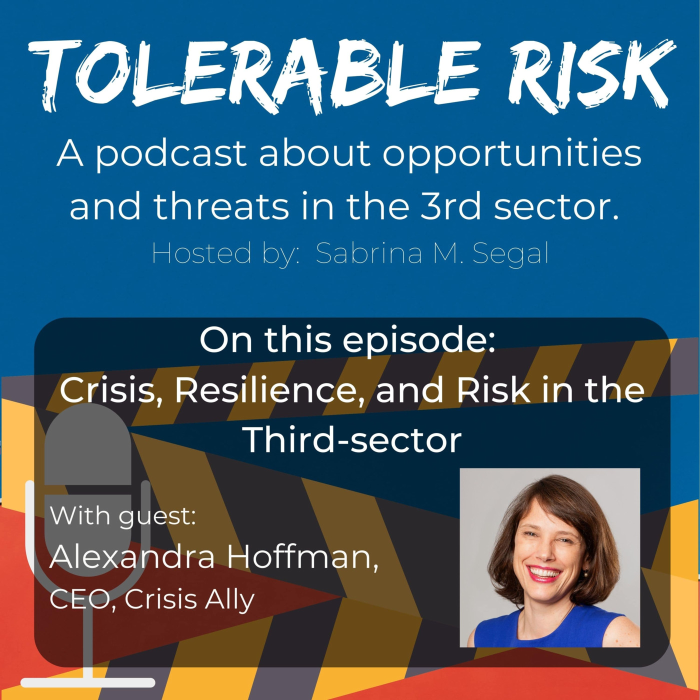 Tolerable Risk: Threats and Opportunities in the 3rd Sector
