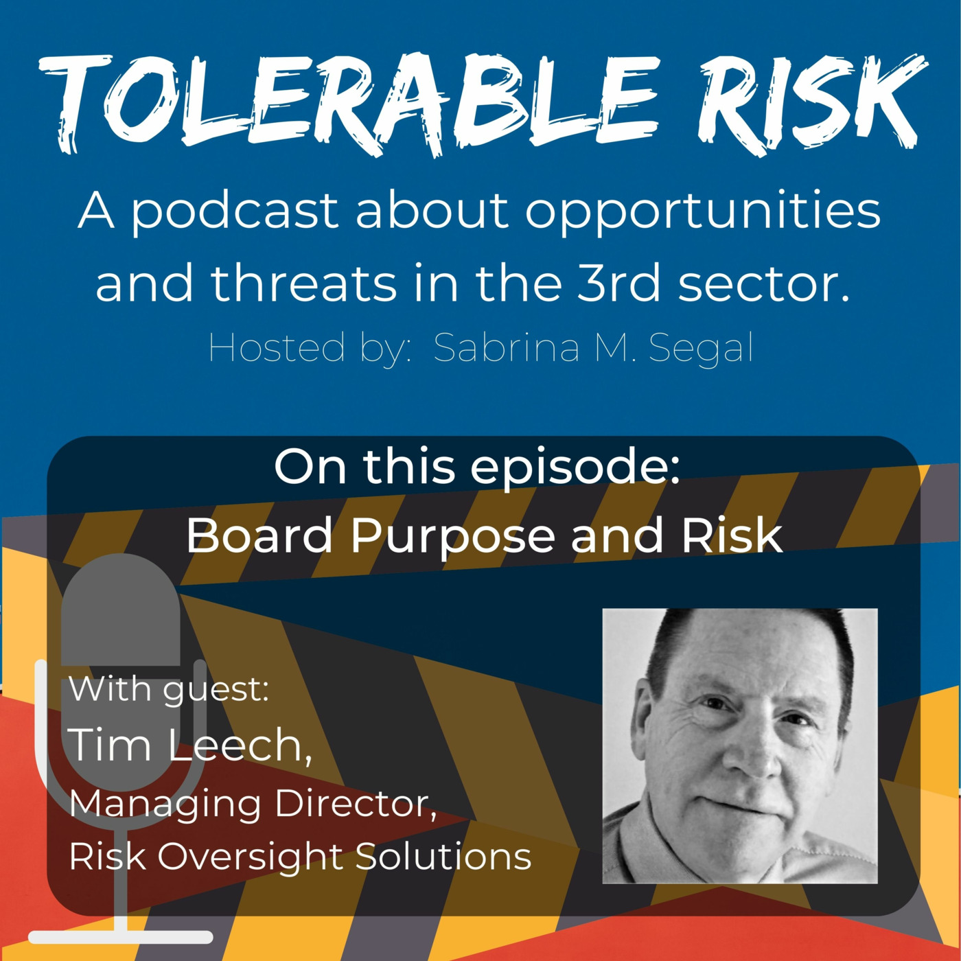 Tolerable Risk: Threats and Opportunities in the 3rd Sector