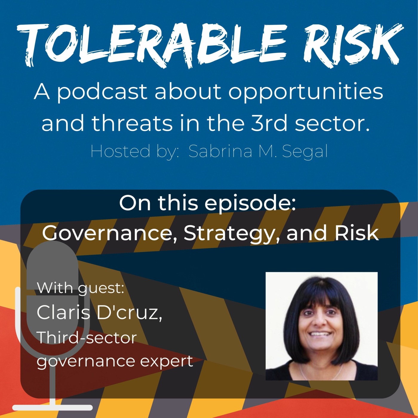 Tolerable Risk: Threats and Opportunities in the 3rd Sector