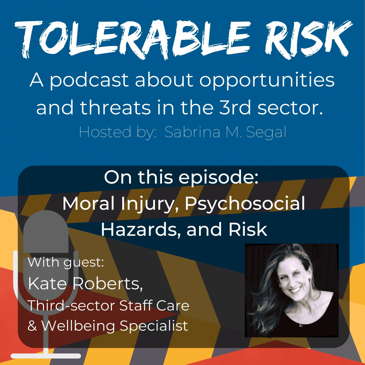 Tolerable Risk: Threats and Opportunities in the 3rd Sector