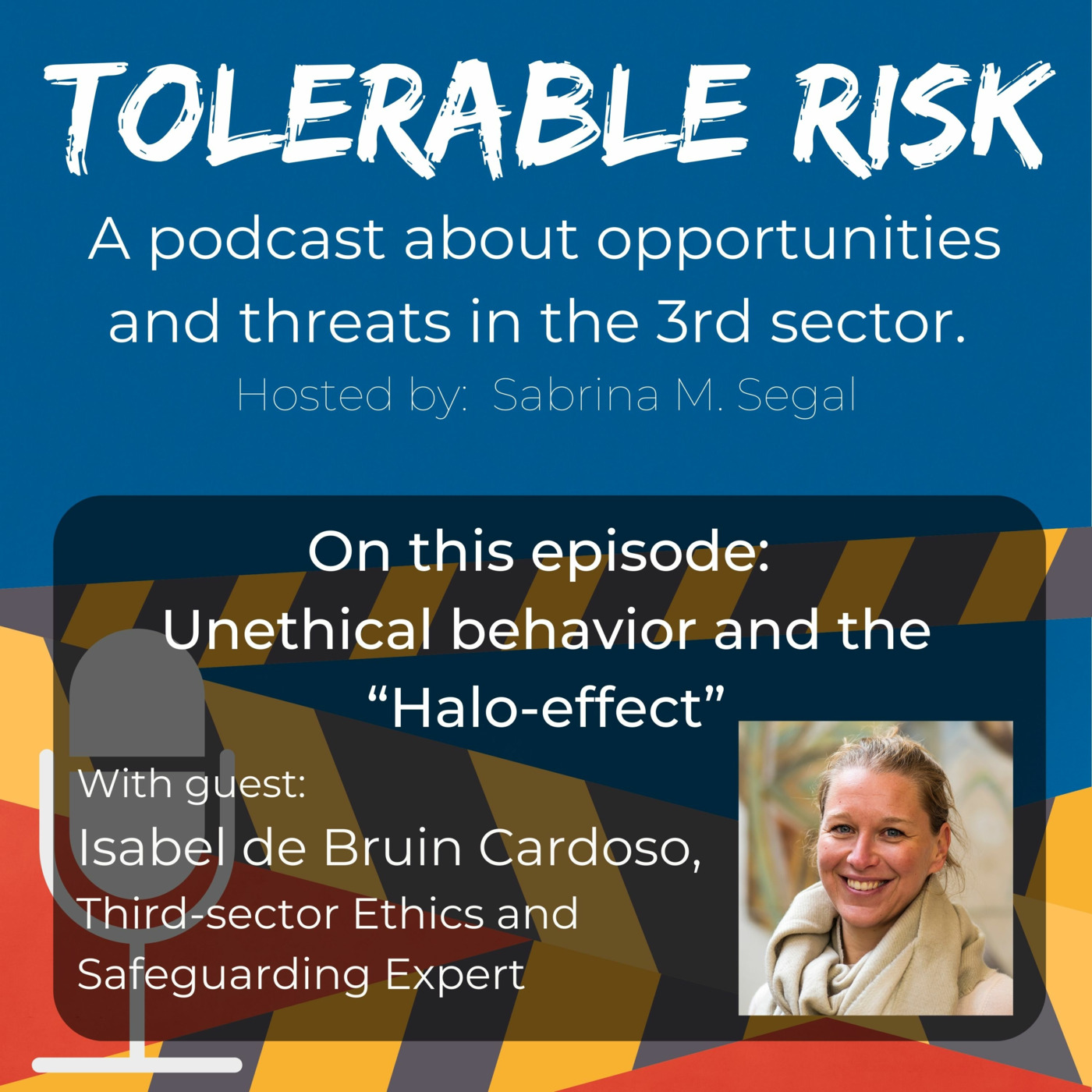 Tolerable Risk: Threats and Opportunities in the 3rd Sector