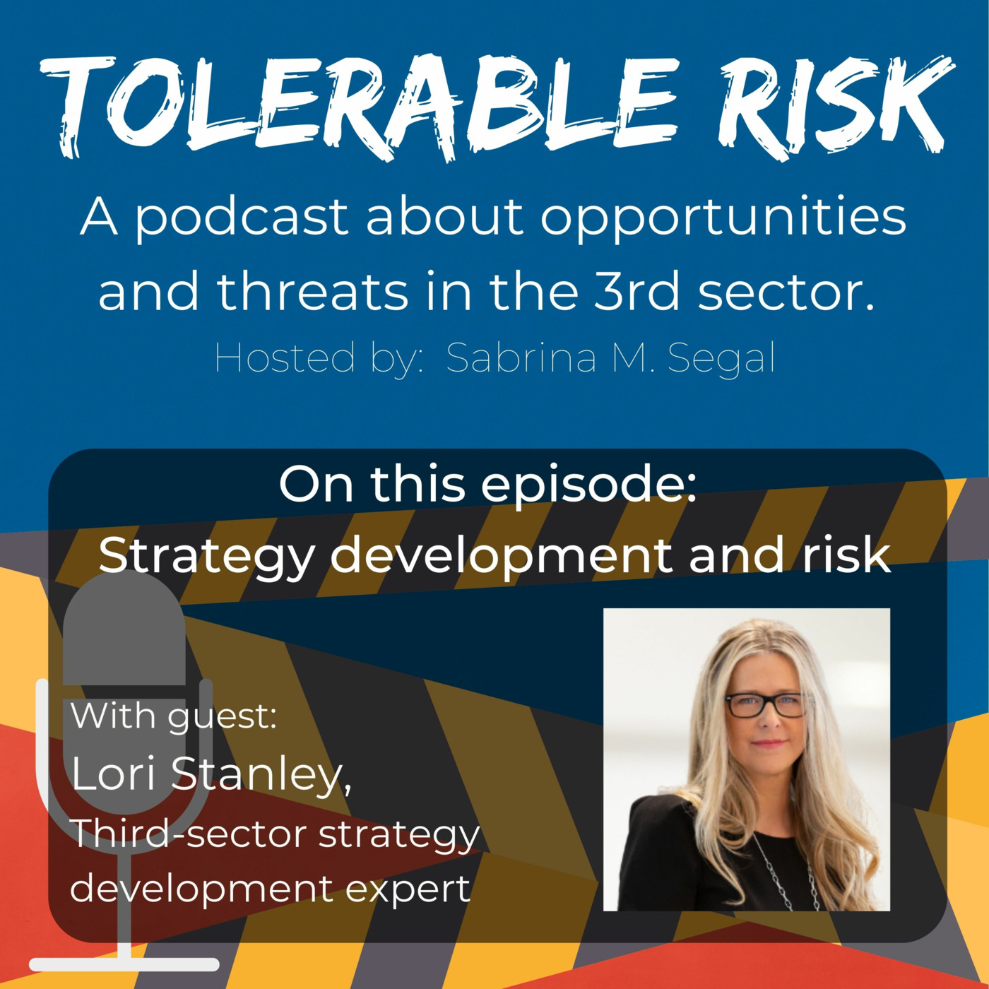 Tolerable Risk: Threats and Opportunities in the 3rd Sector