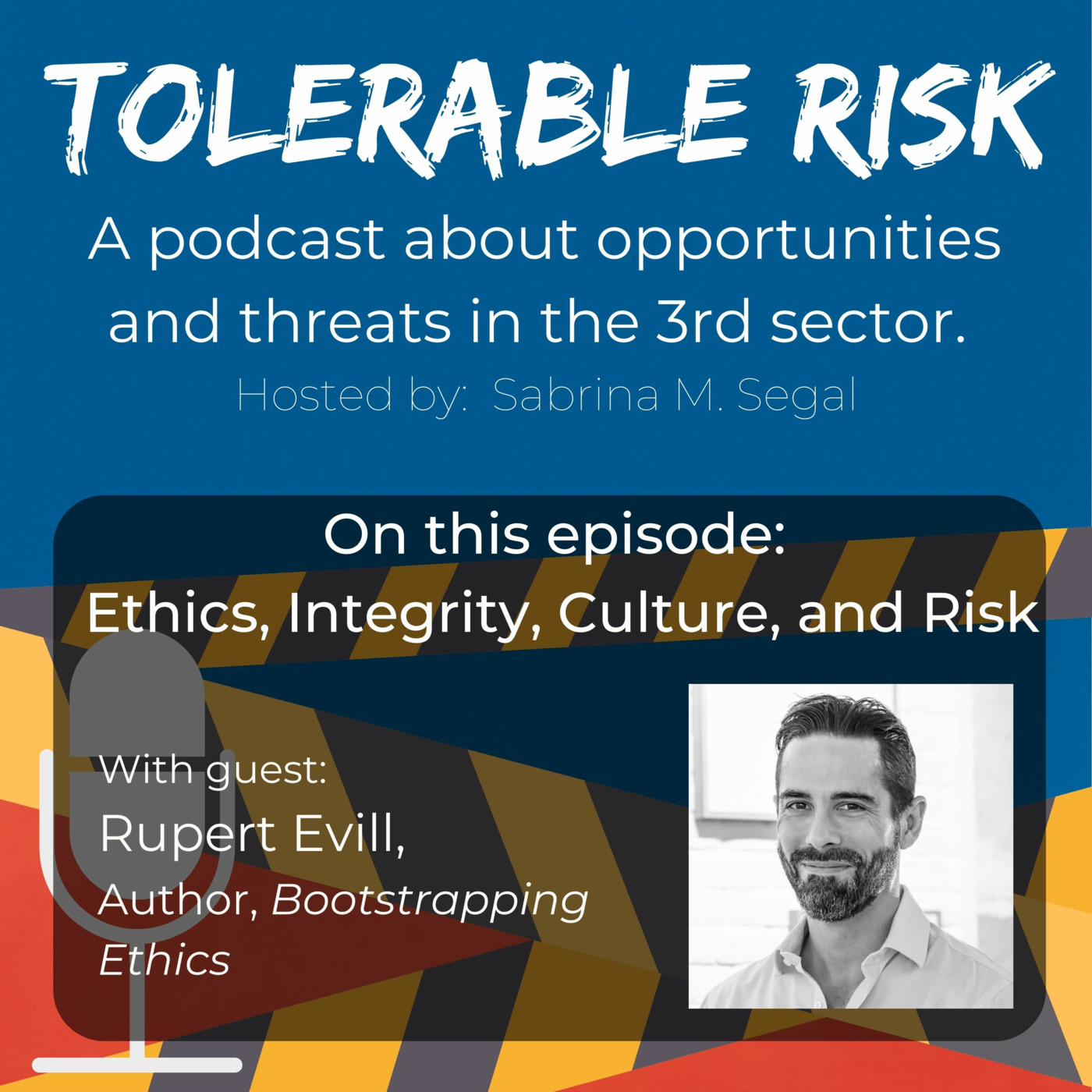 Tolerable Risk: Threats and Opportunities in the 3rd Sector