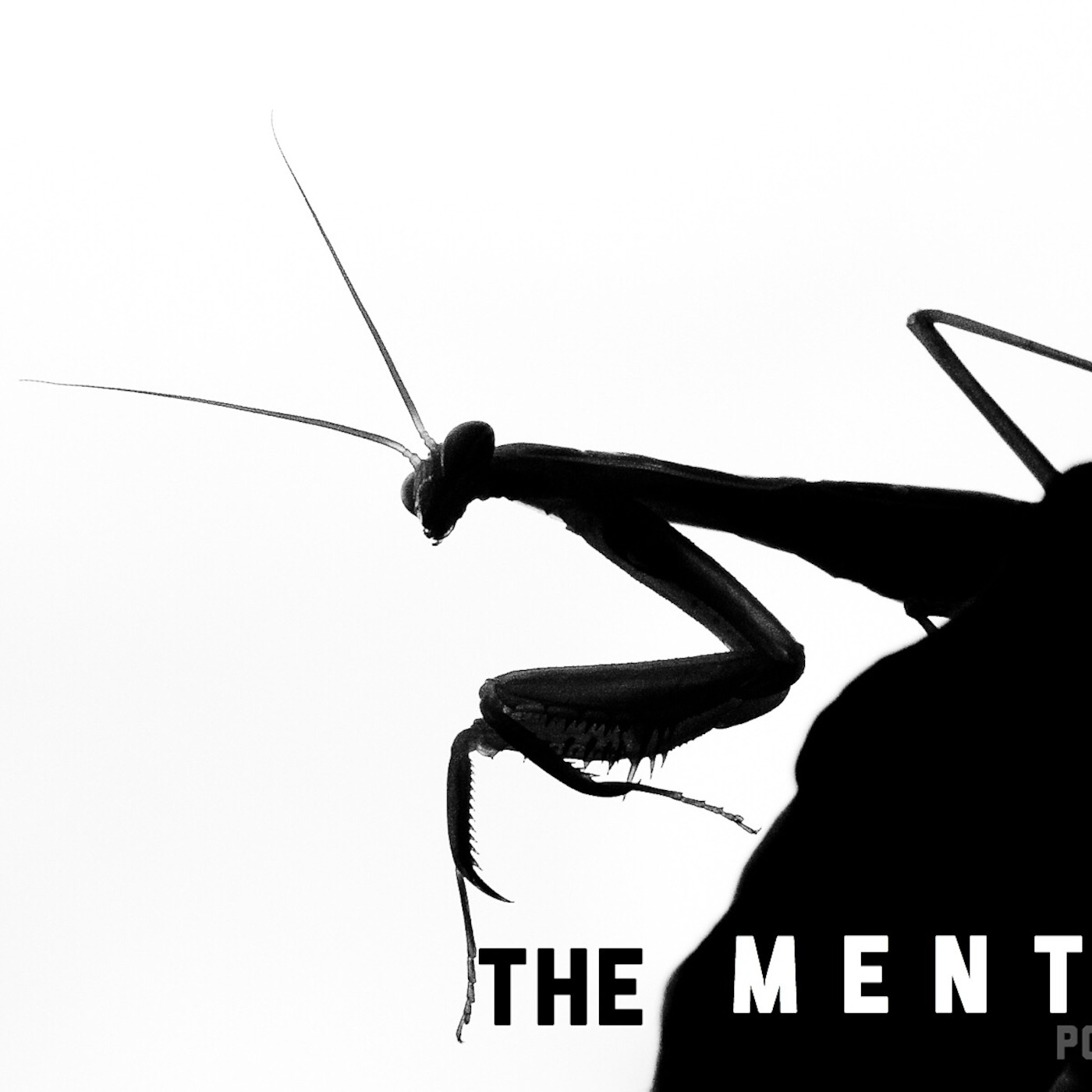 THE MENTIS PODCAST