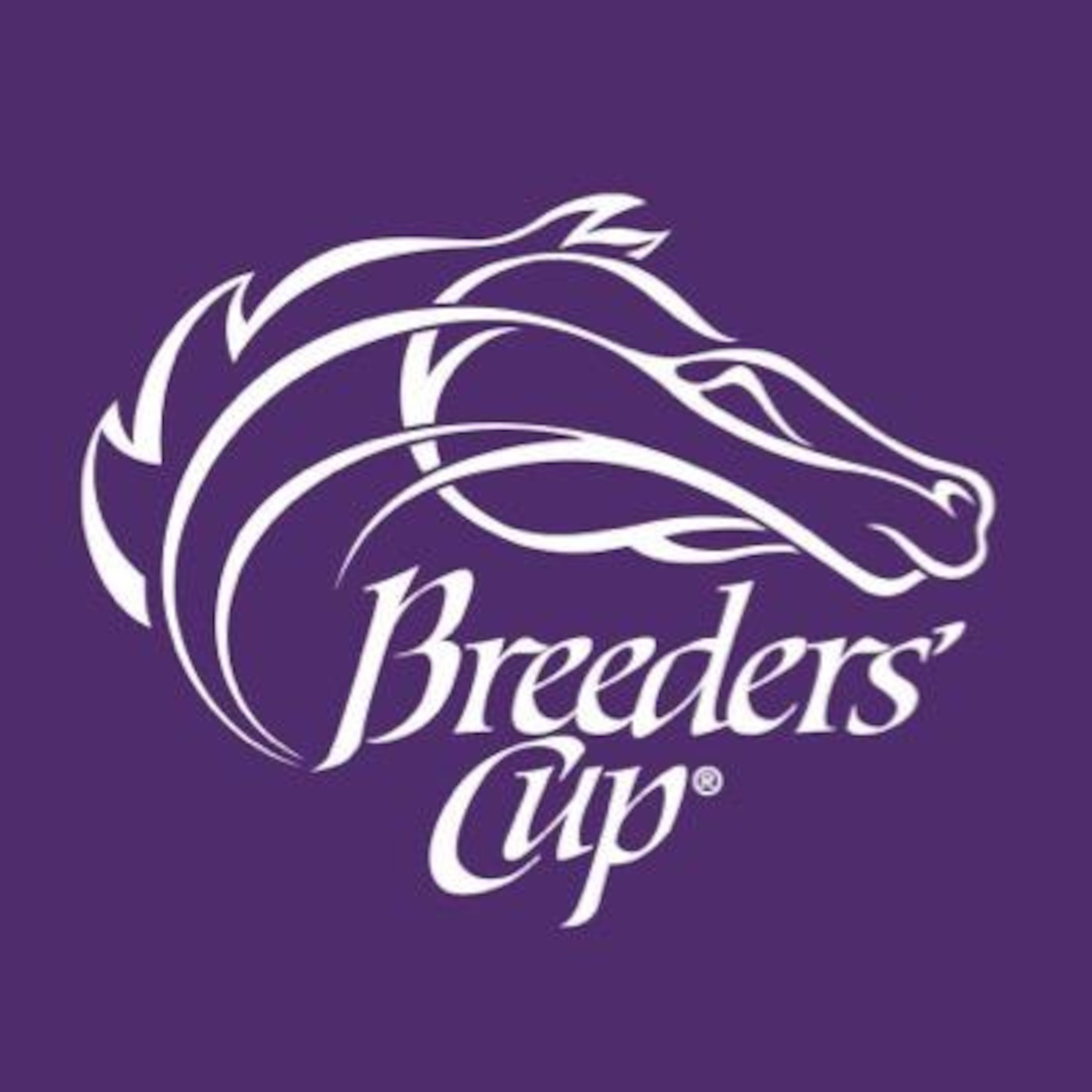 ATN Show Breeders Cup Special- The Classic