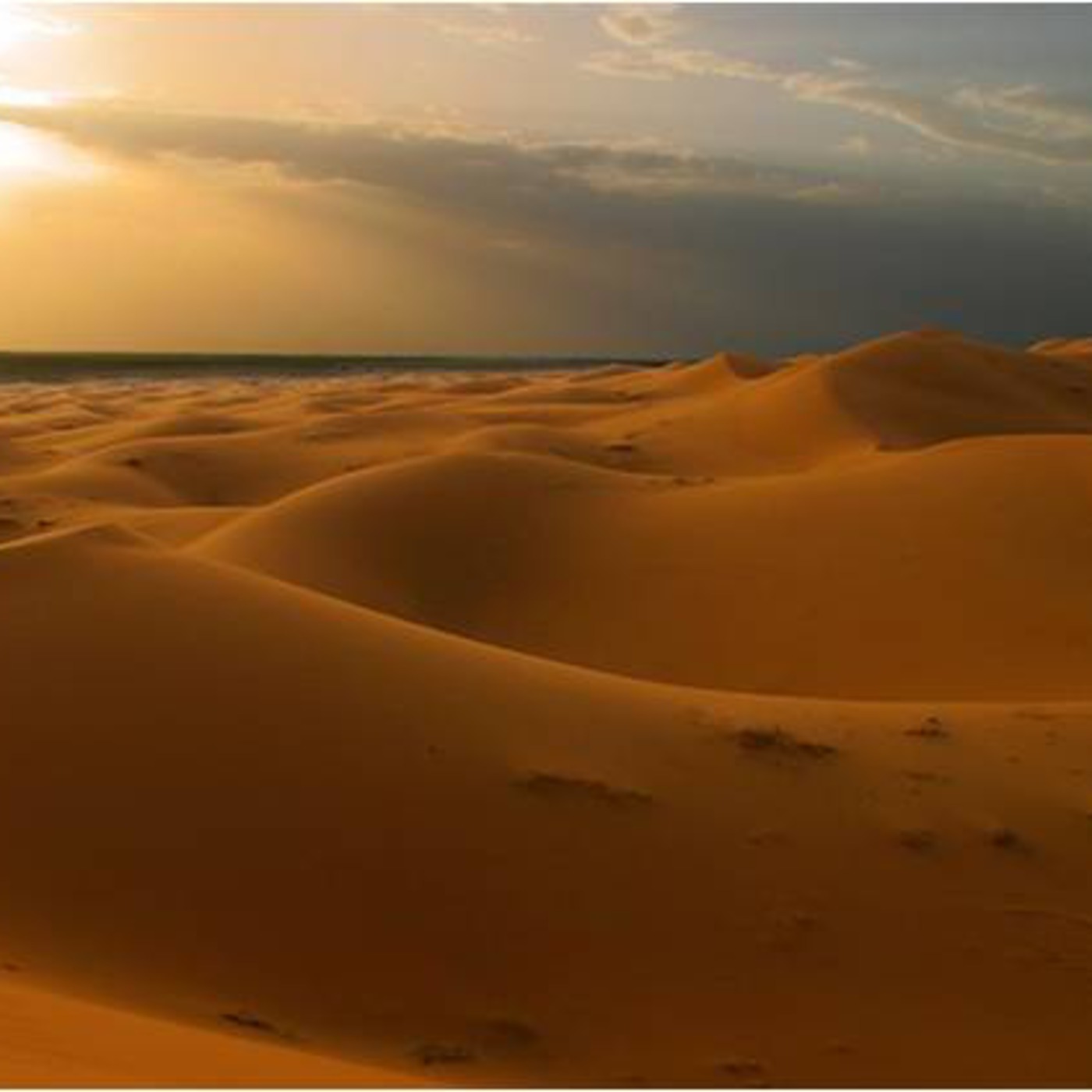 del desierto al jardín