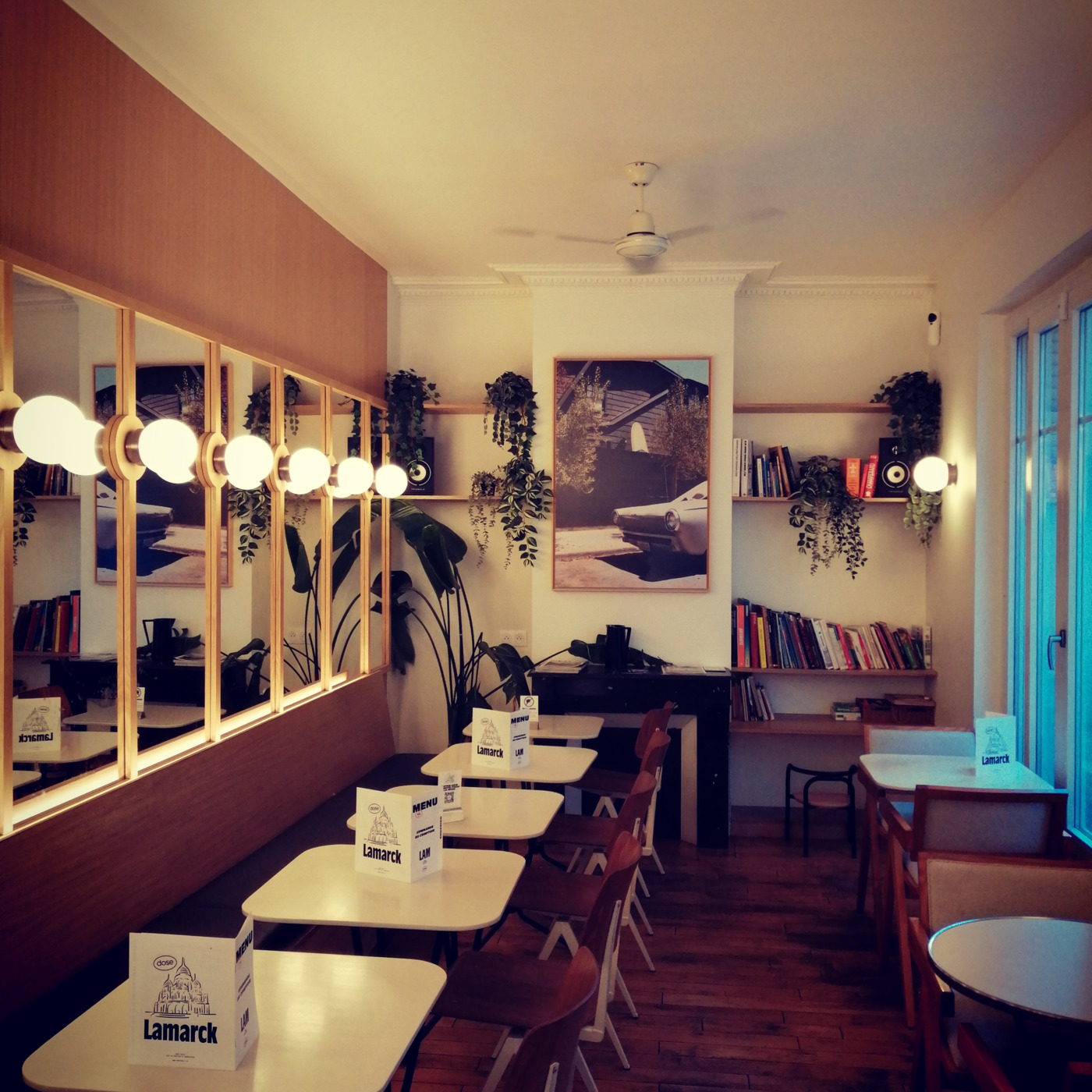 Episode 15: Café Dose (Lamarck) #noadv episode artwork