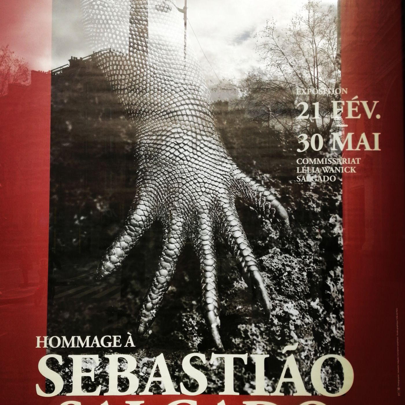 Episode 21: Esposizione : Omaggio a Sebastião Salgado episode artwork