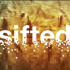 'Sifted' Wk2 7/12/20