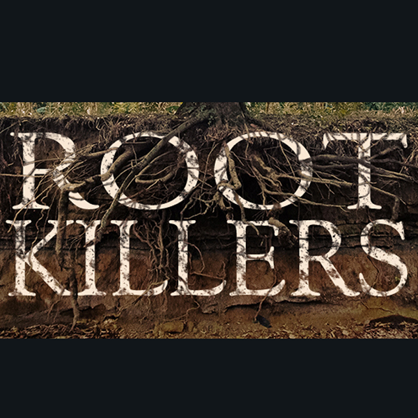 'Root Killers' Wk2 Thoughts 7/14/19