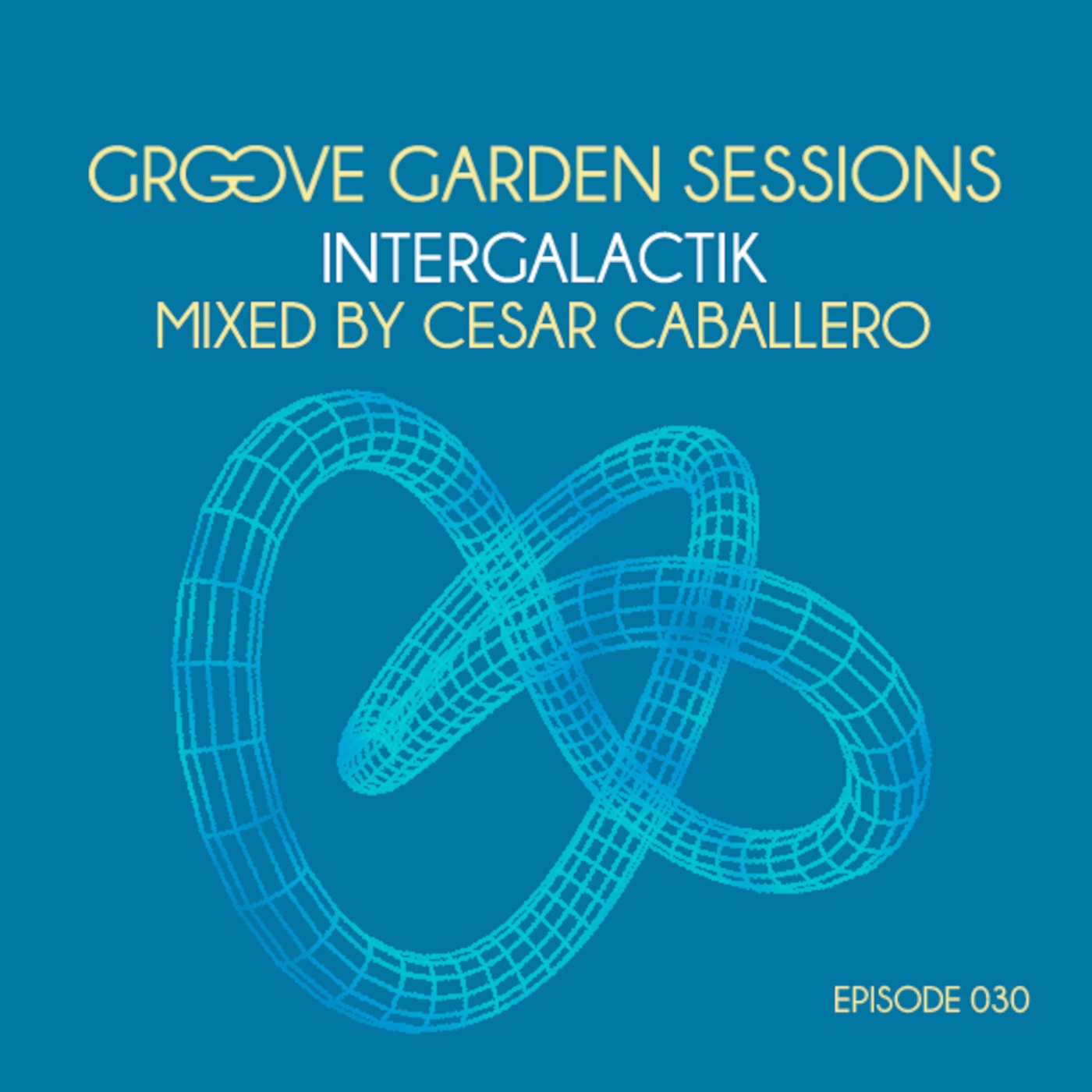 Groove Garden Sessions 