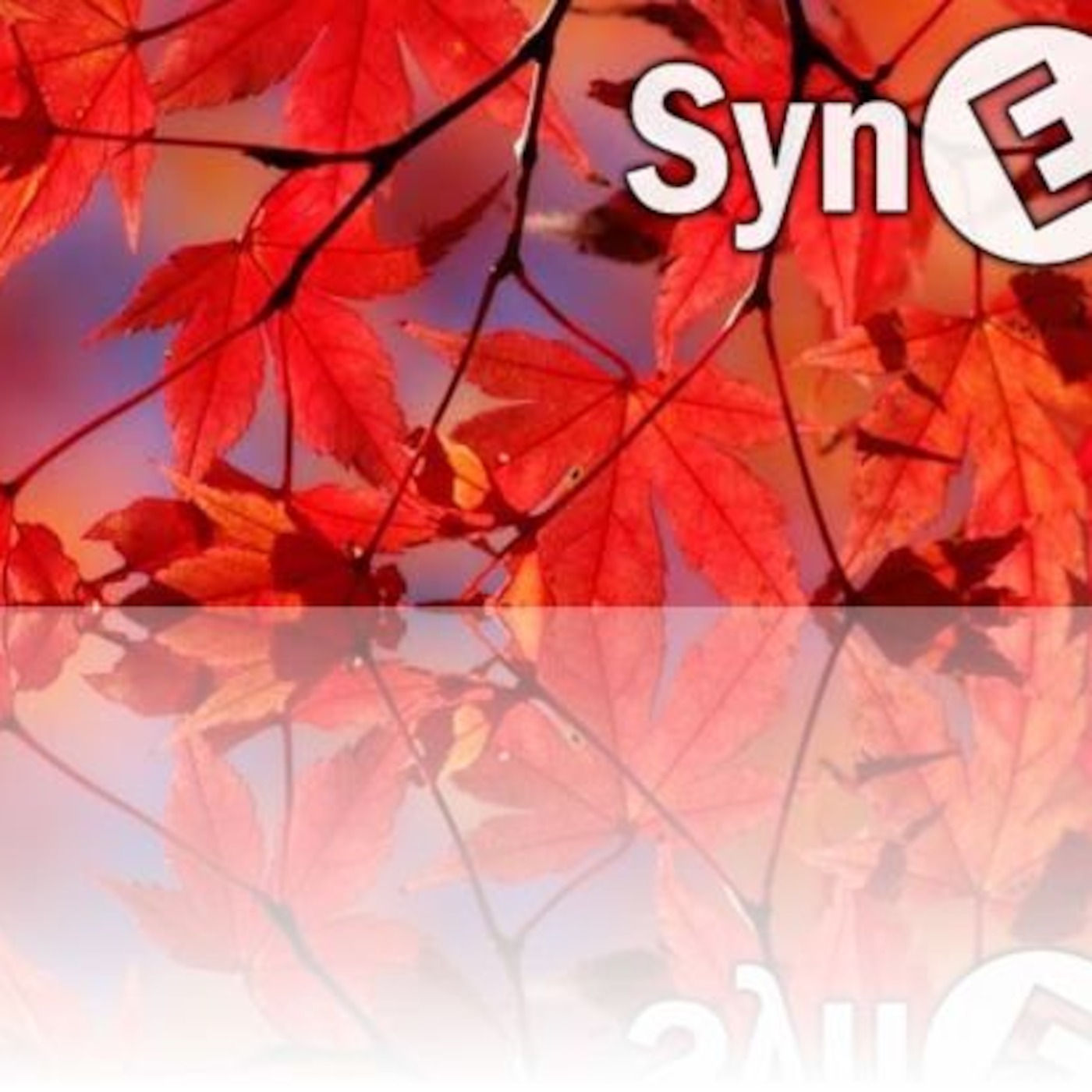 Michele Iurillo\'s Podcast