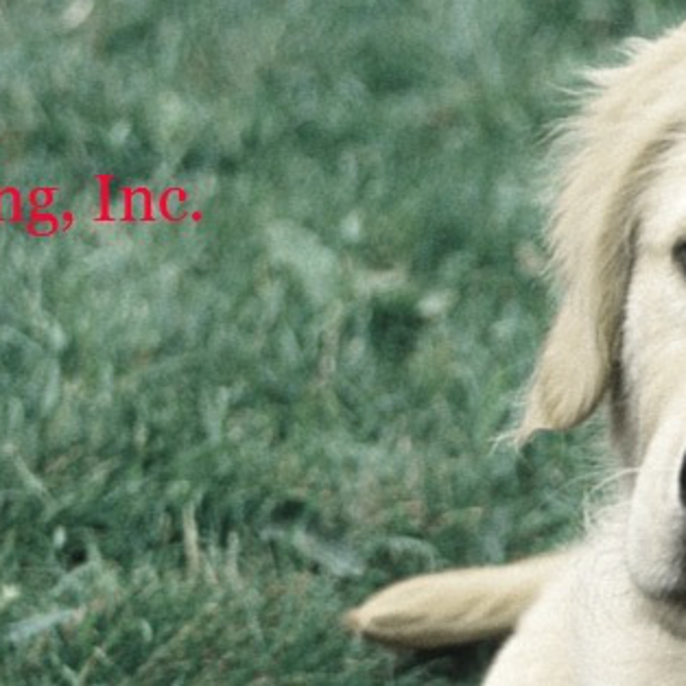 Pawlite Petcast