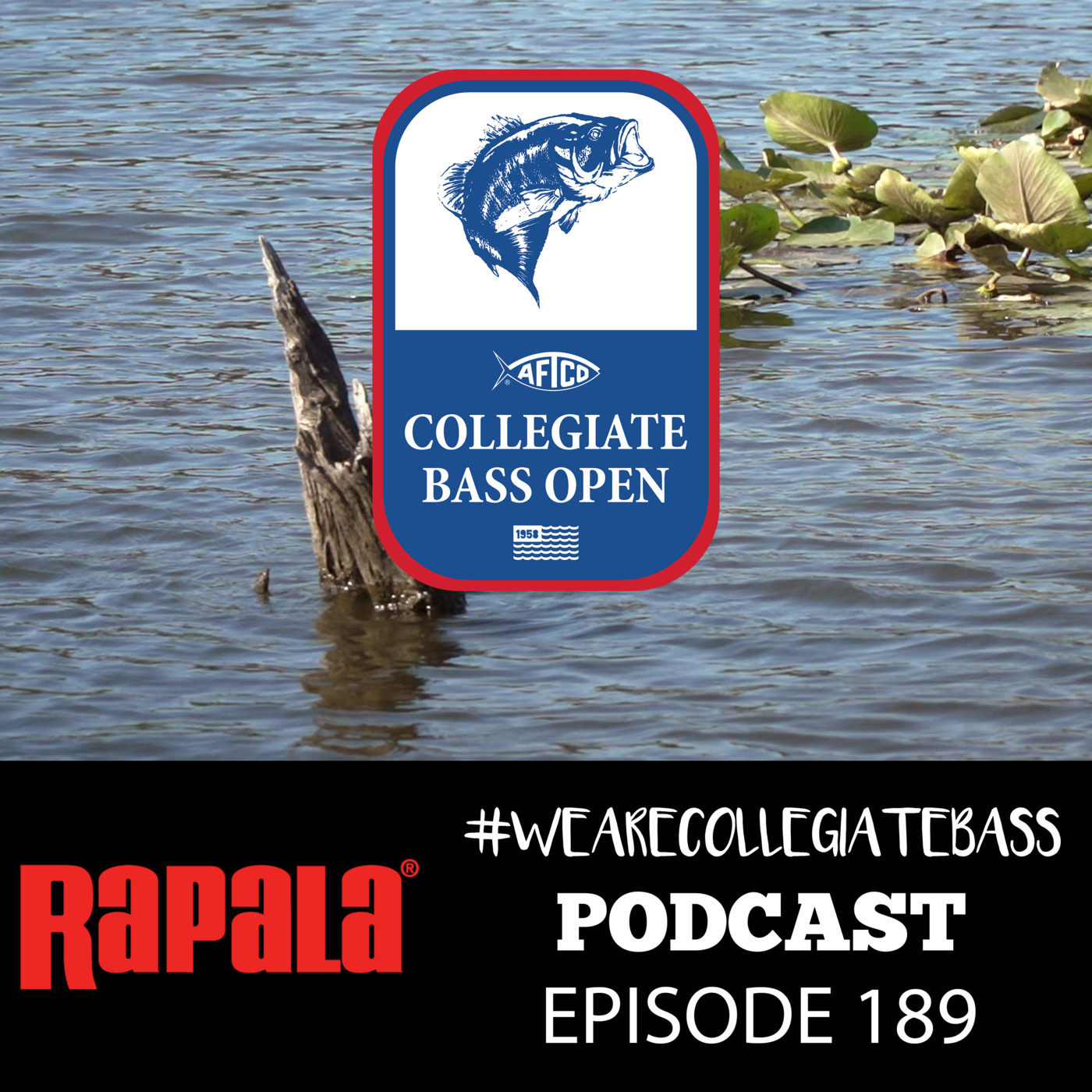 Episode 189: EP. 189 - Mat Higby from Arkansas Tech Previews Lake Dardanelle